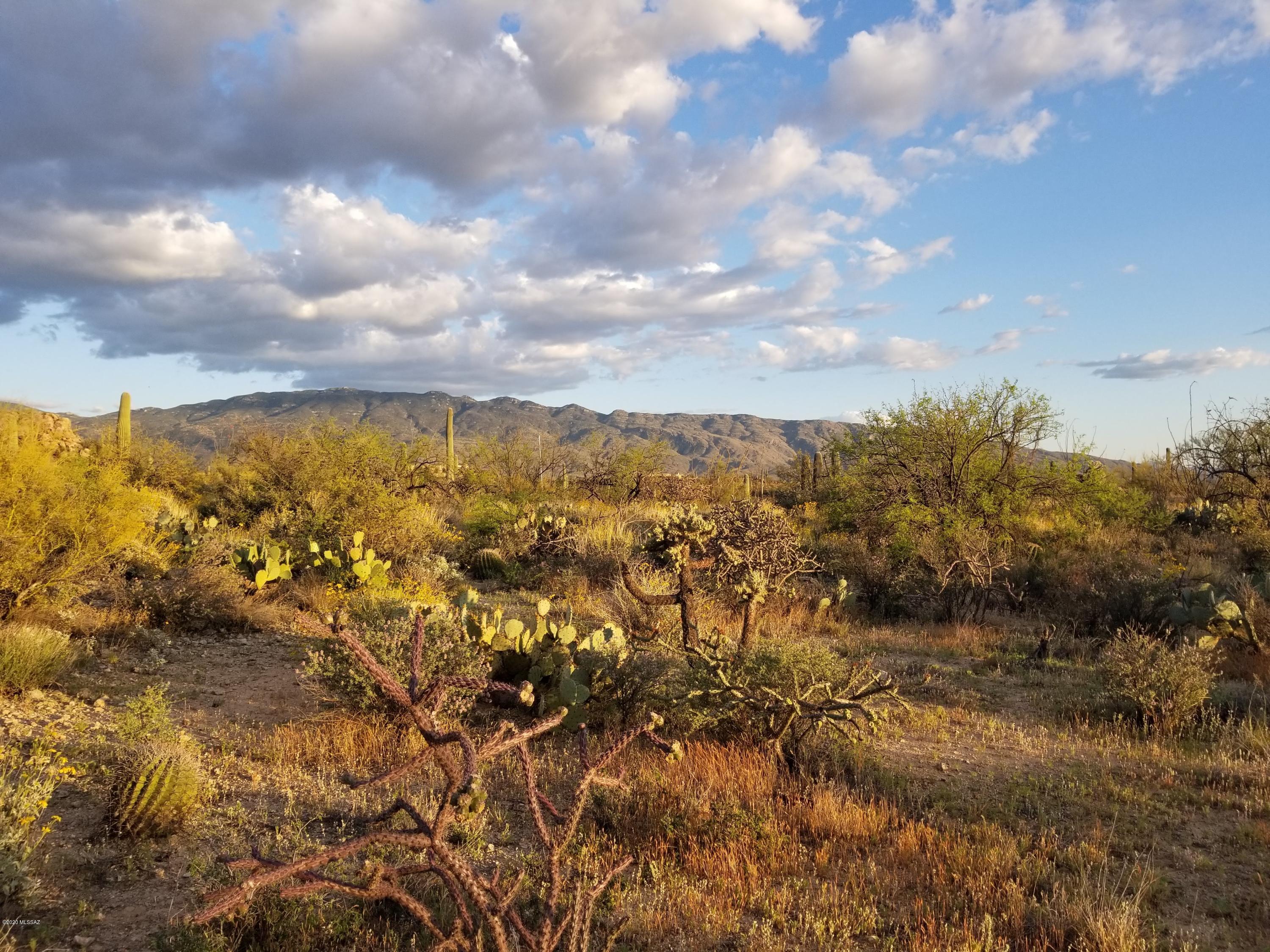 Palo Verde Ranch - Land