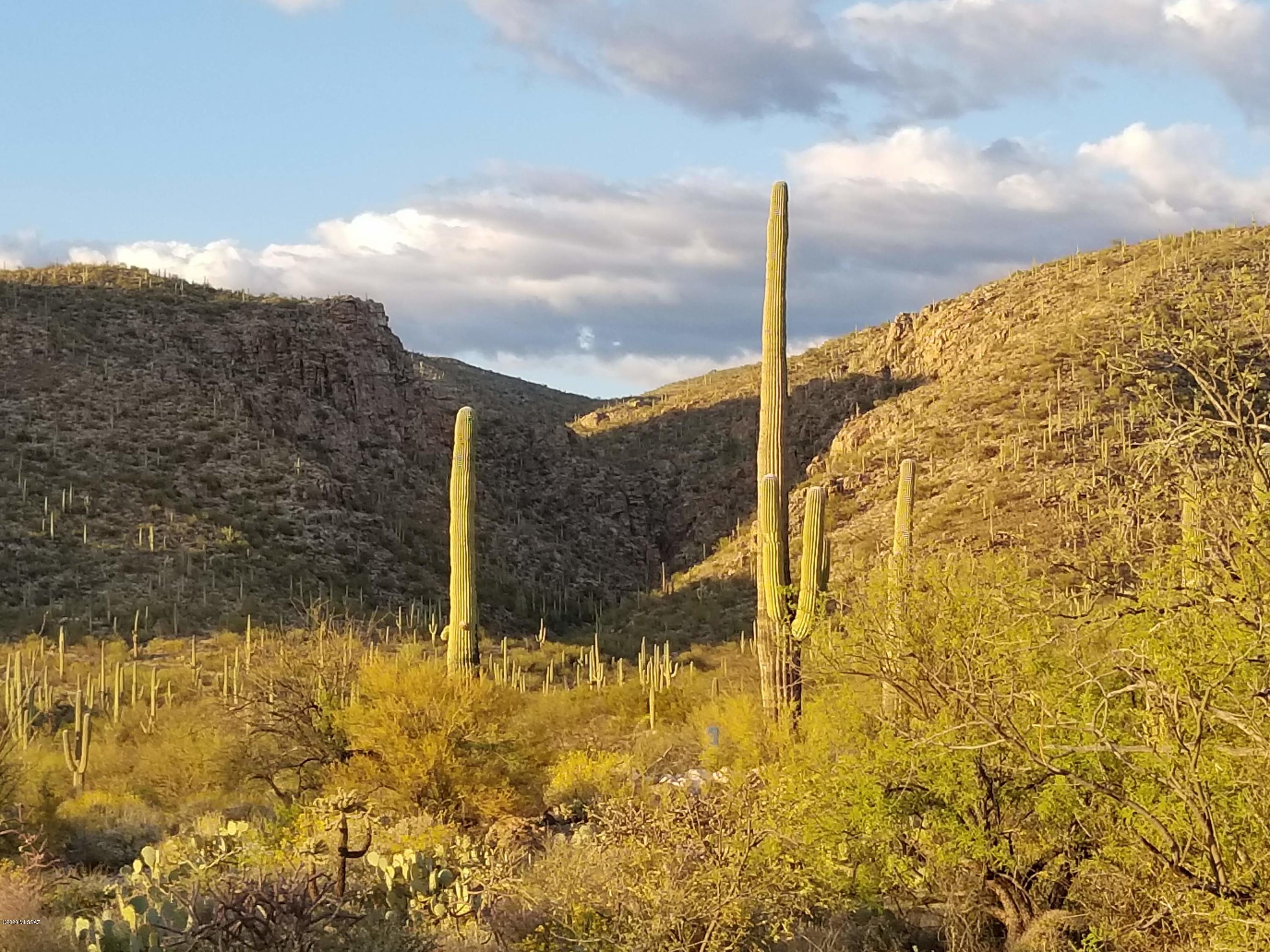 Palo Verde Ranch - Land