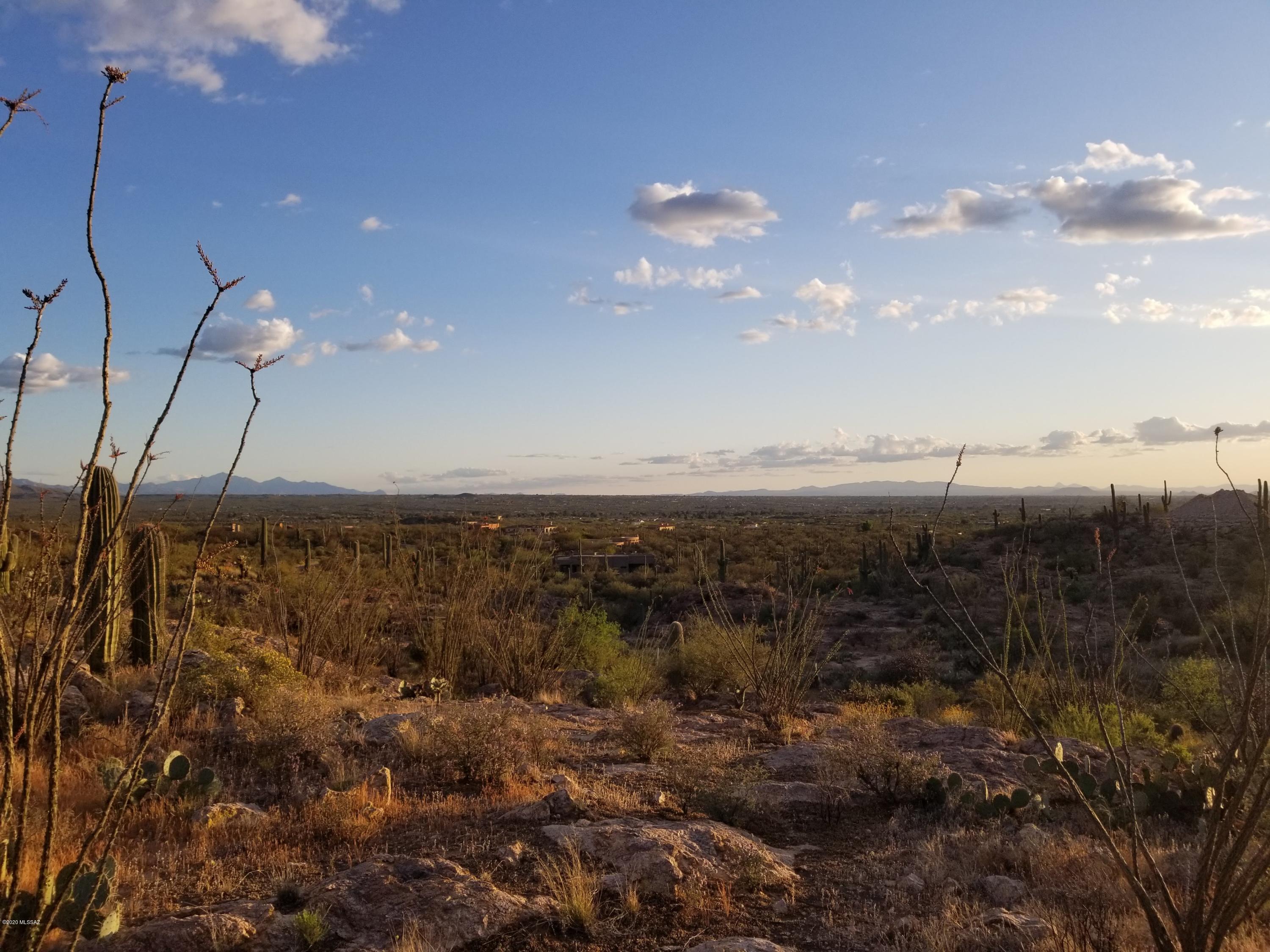 Palo Verde Ranch - Land