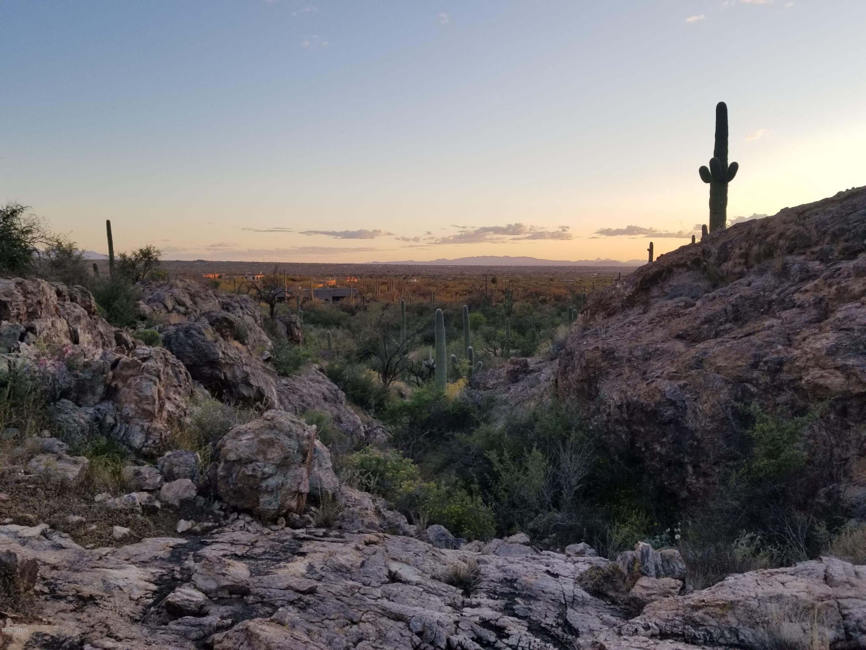Palo Verde Ranch - Land