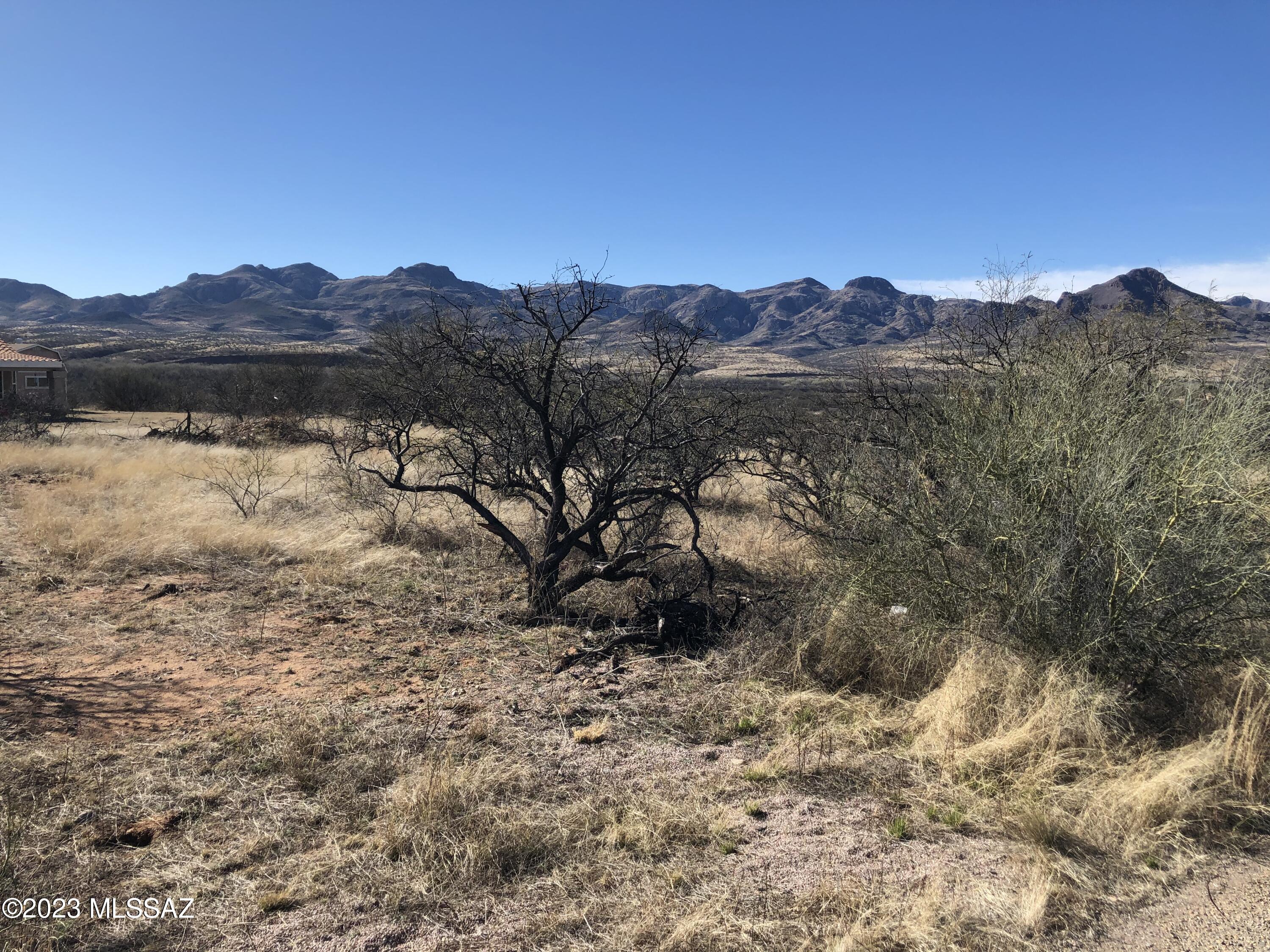 Rio Rico Villas 14 - Land