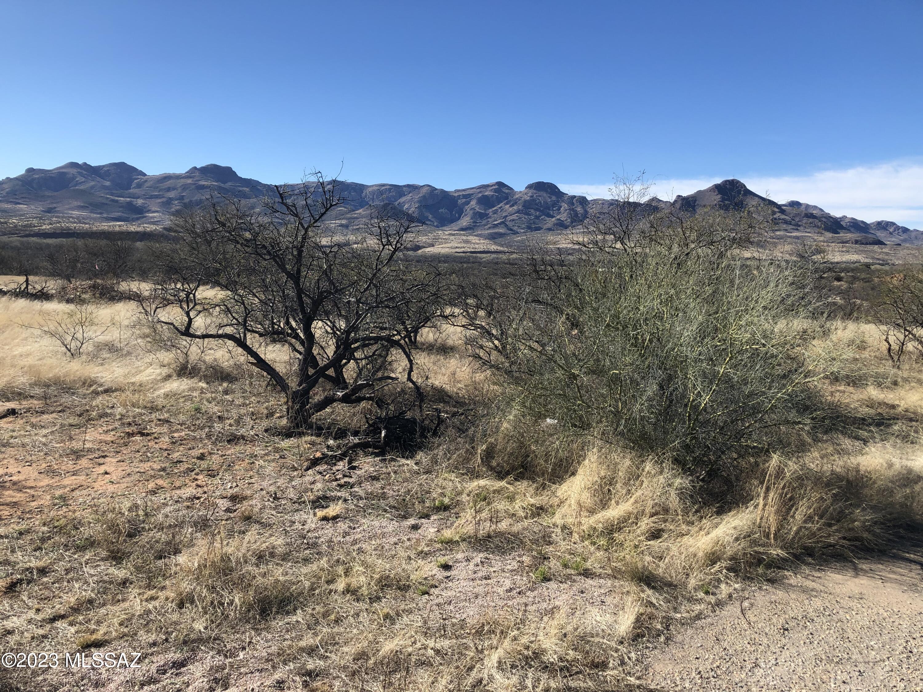 Rio Rico Villas 14 - Land