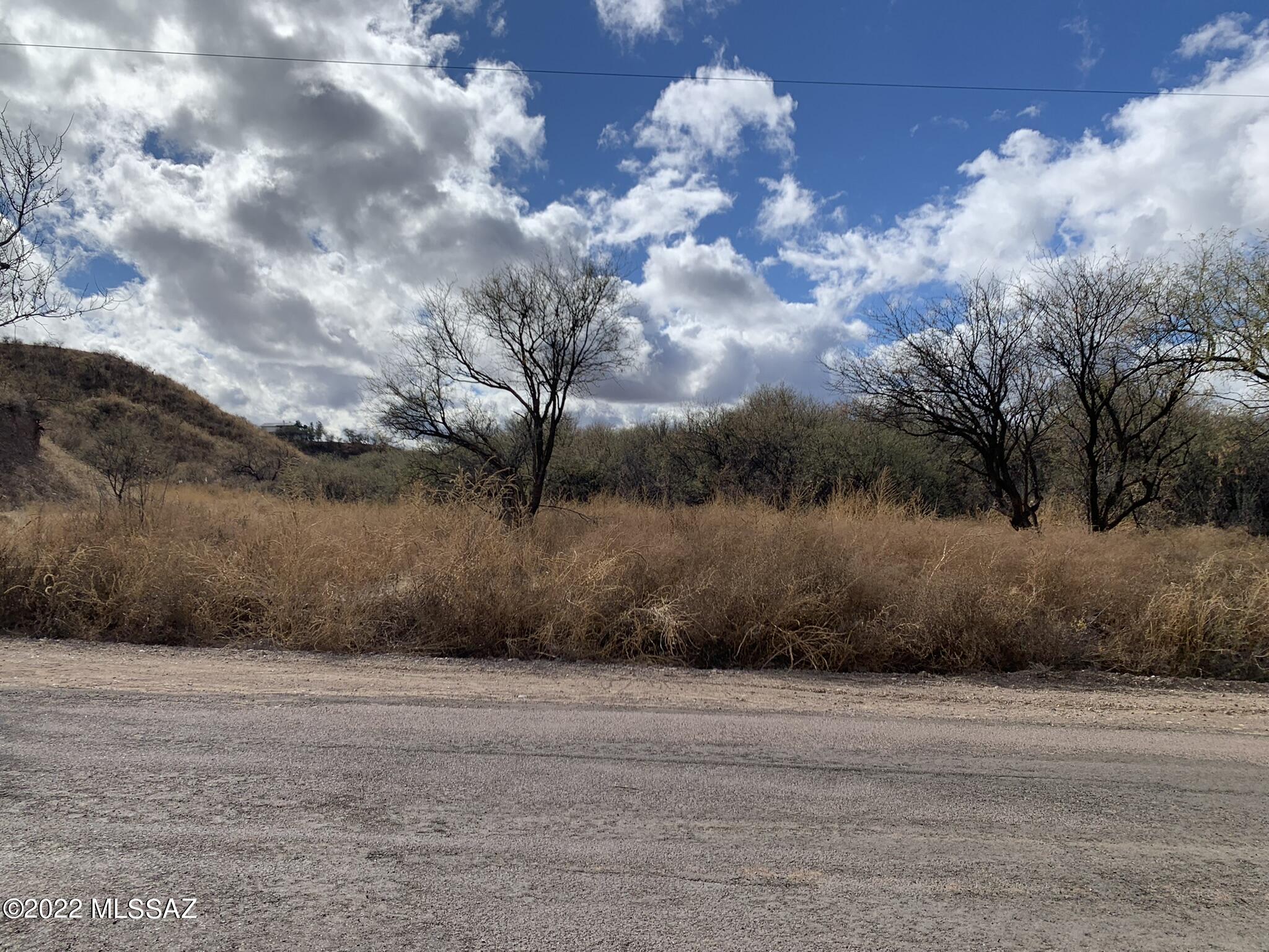 Rio Rico Ranchettes - Land