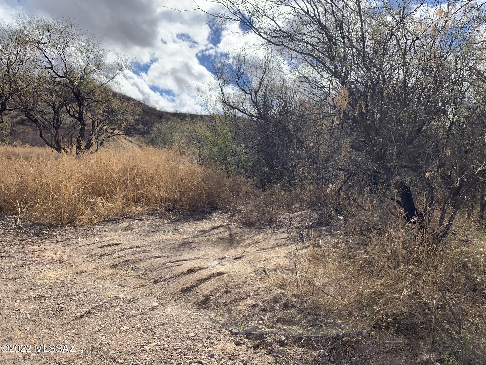 Rio Rico Ranchettes - Land
