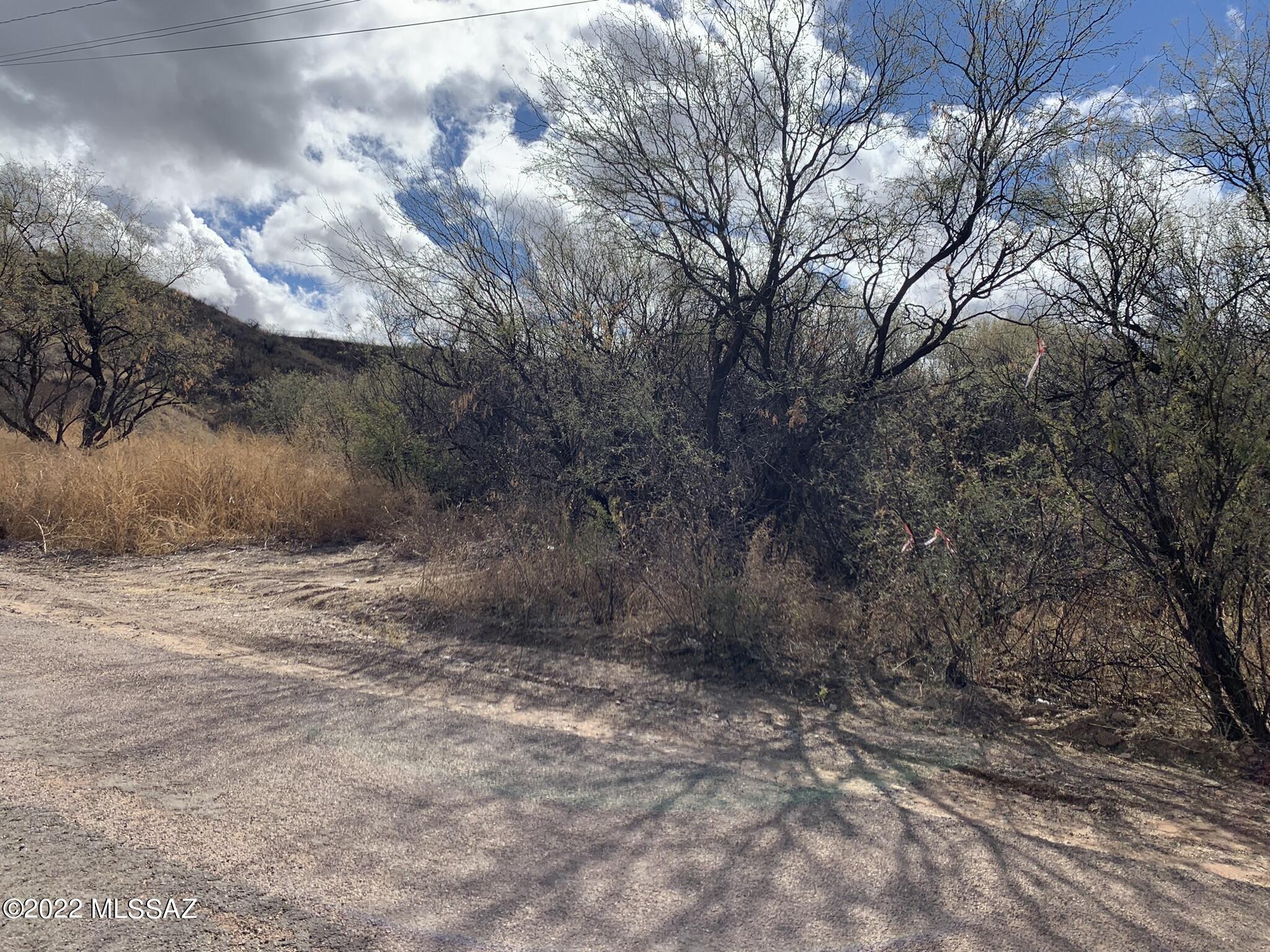 Rio Rico Ranchettes - Land