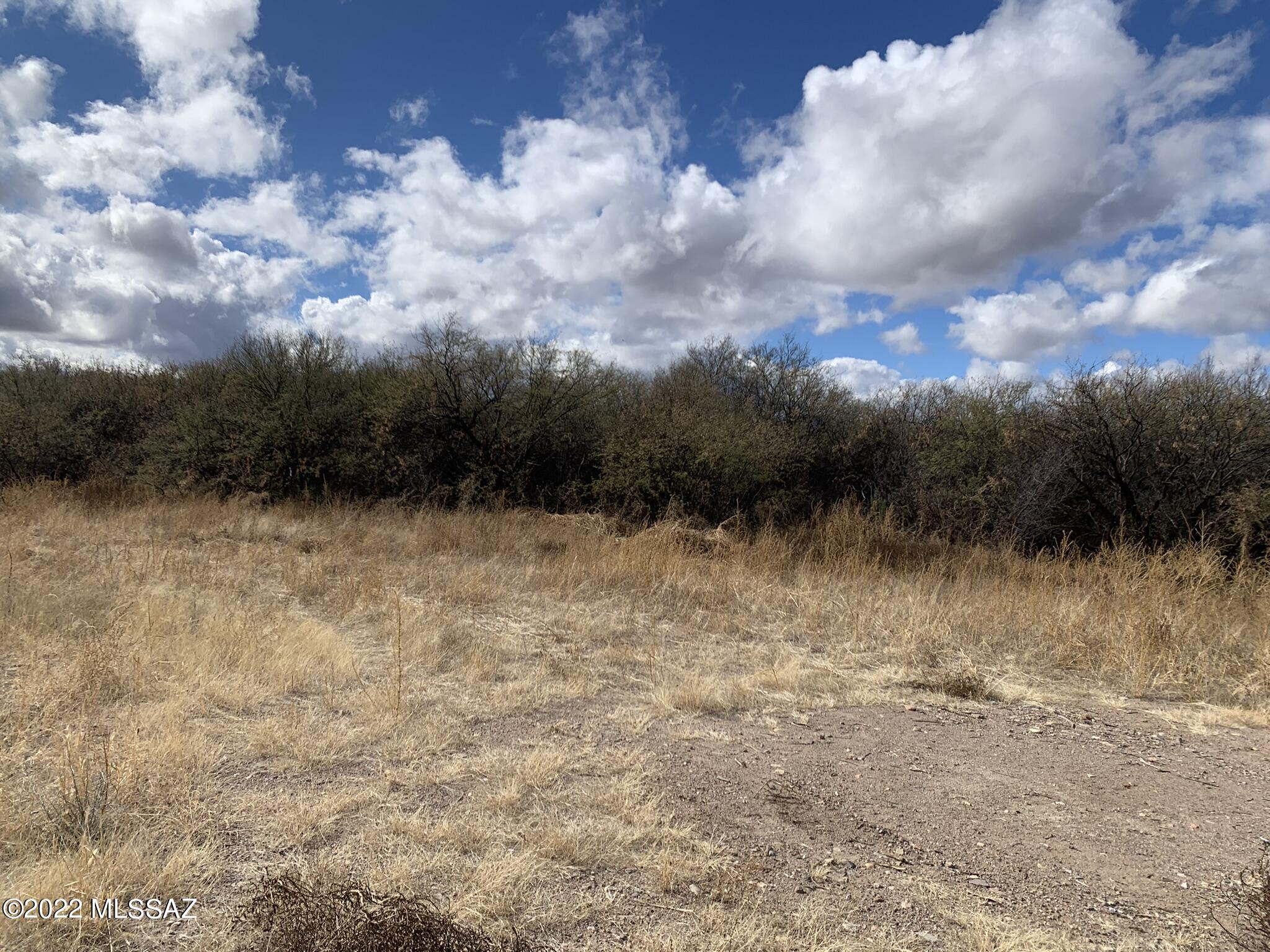 Rio Rico Ranchettes - Land