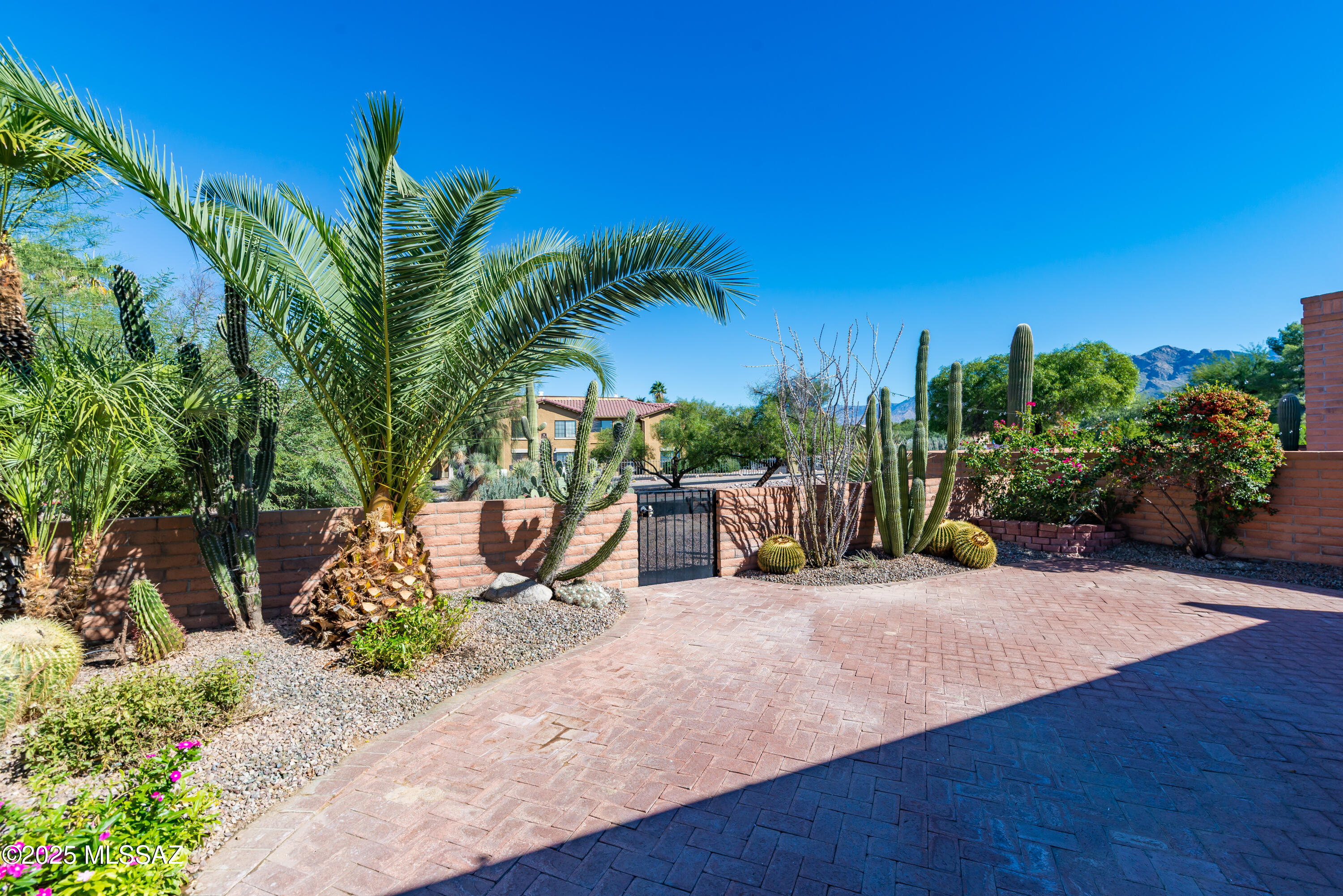 La Cholla Hills(314-353) - Residential