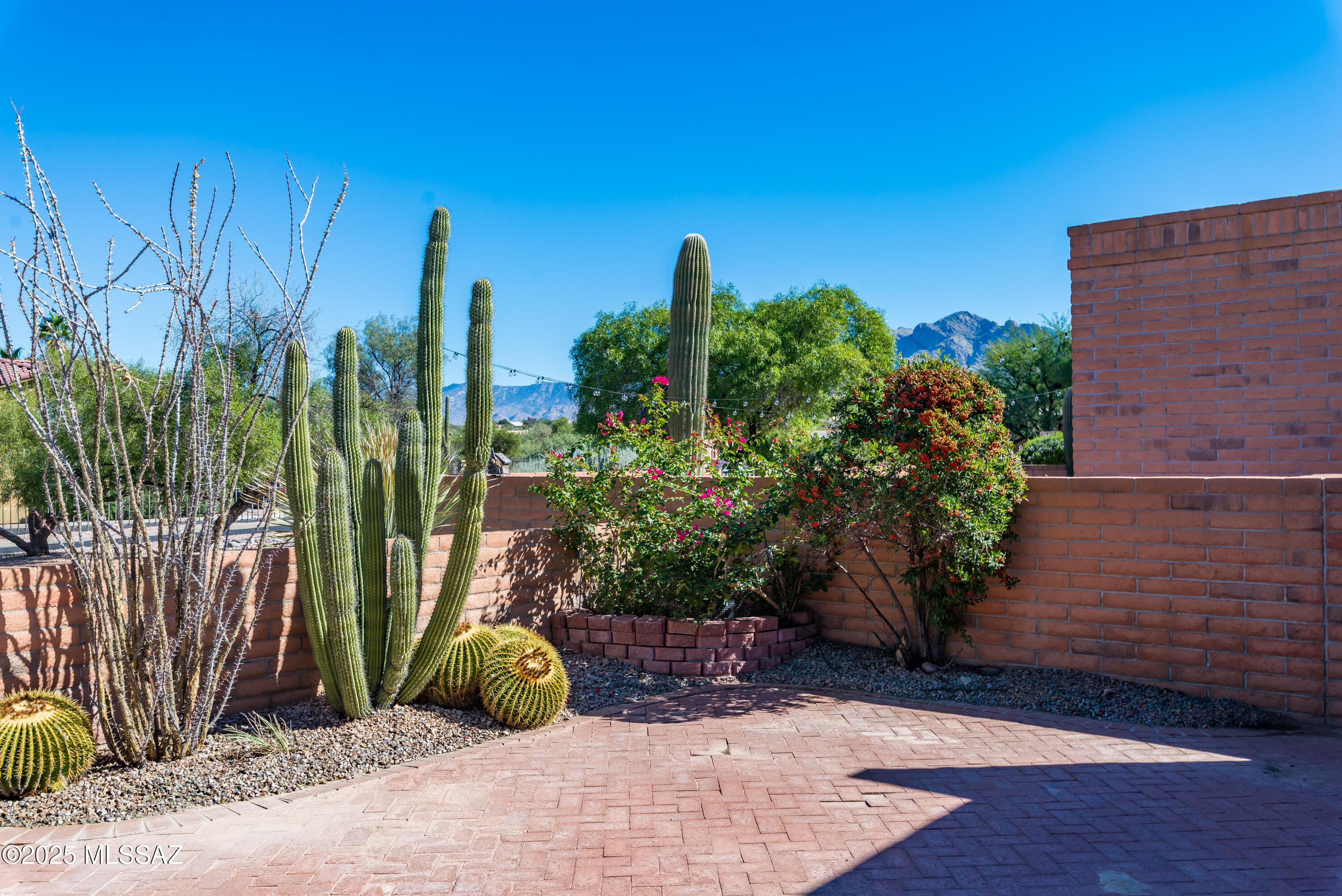 La Cholla Hills(314-353) - Residential