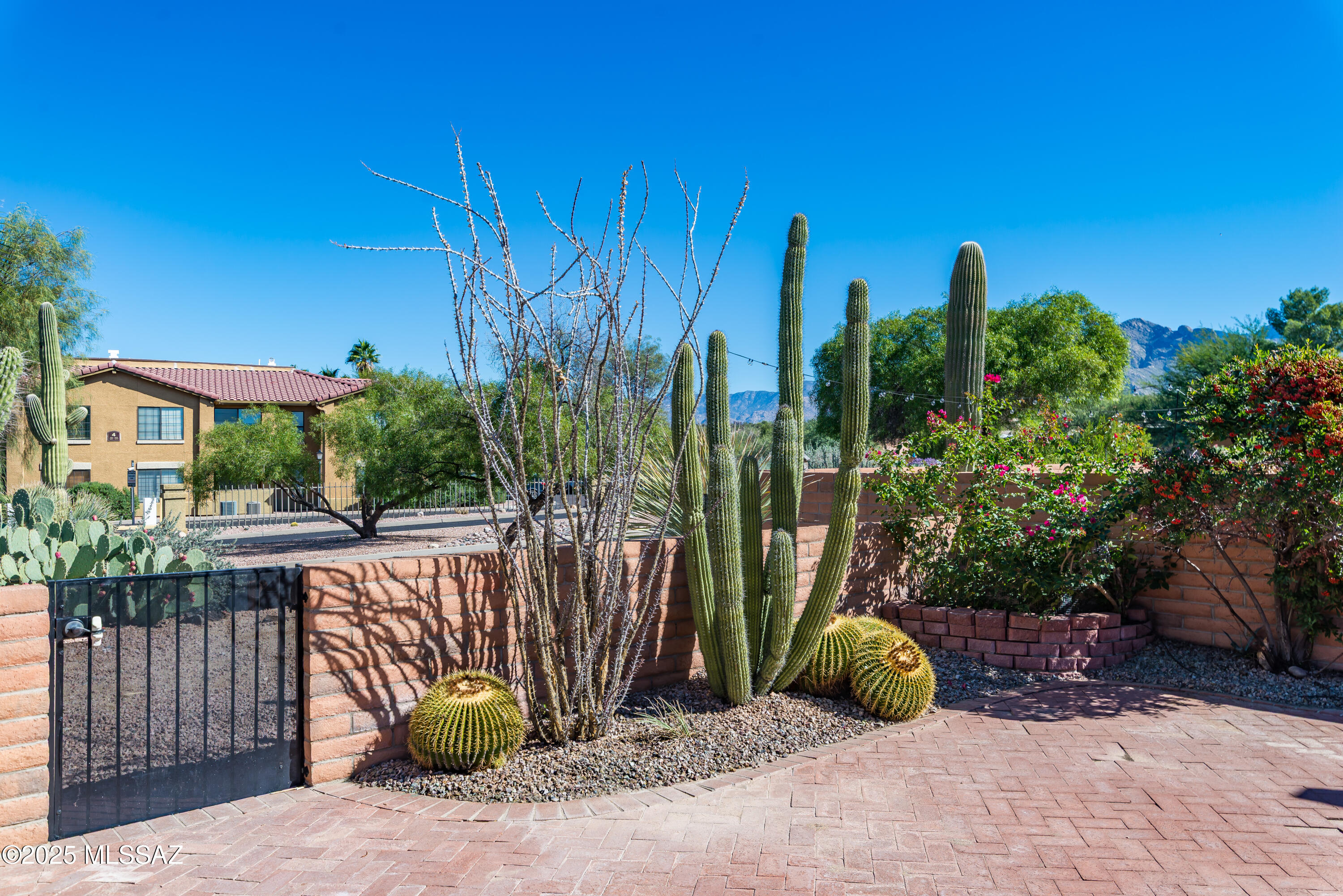 La Cholla Hills(314-353) - Residential
