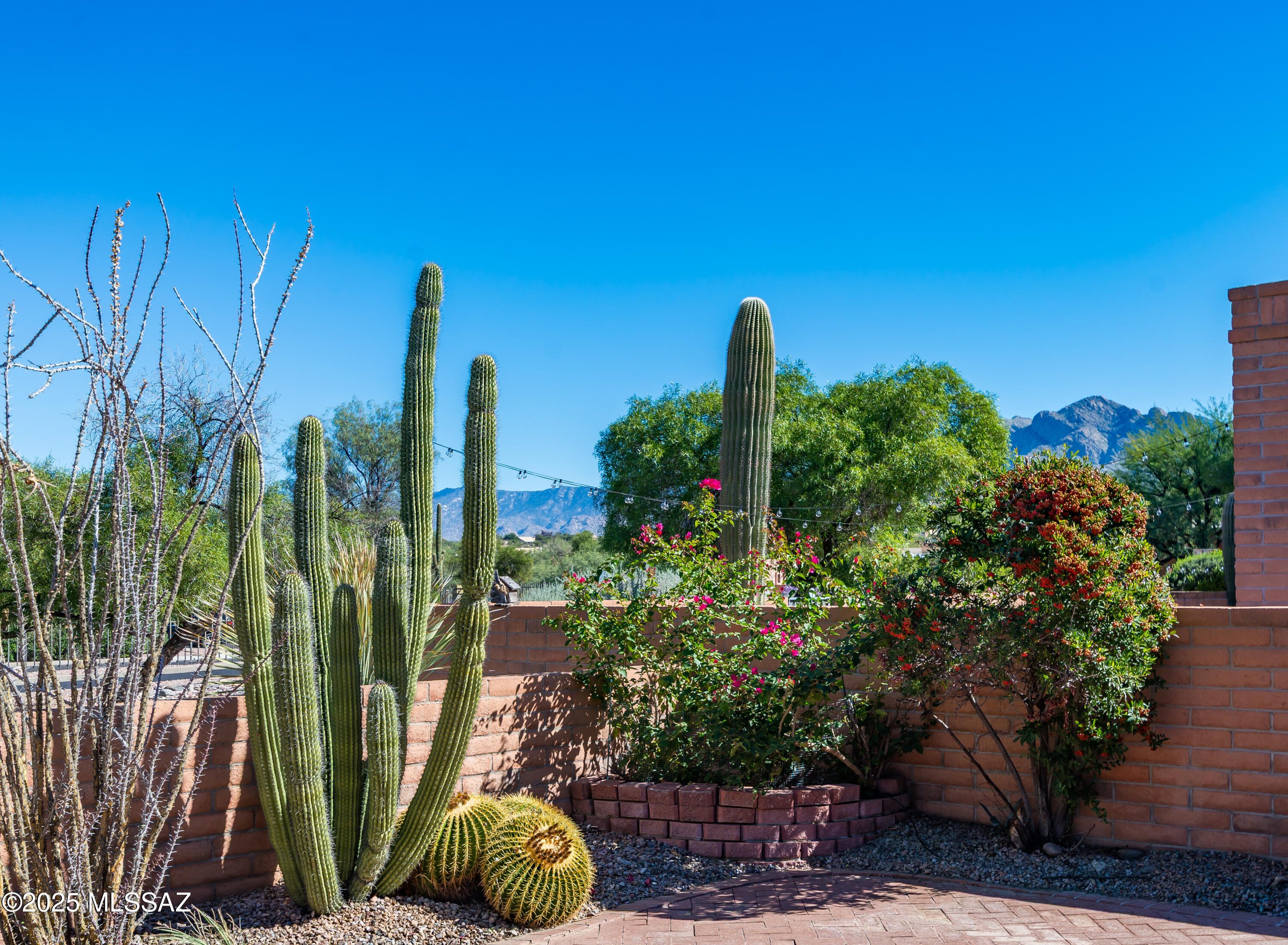 La Cholla Hills(314-353) - Residential