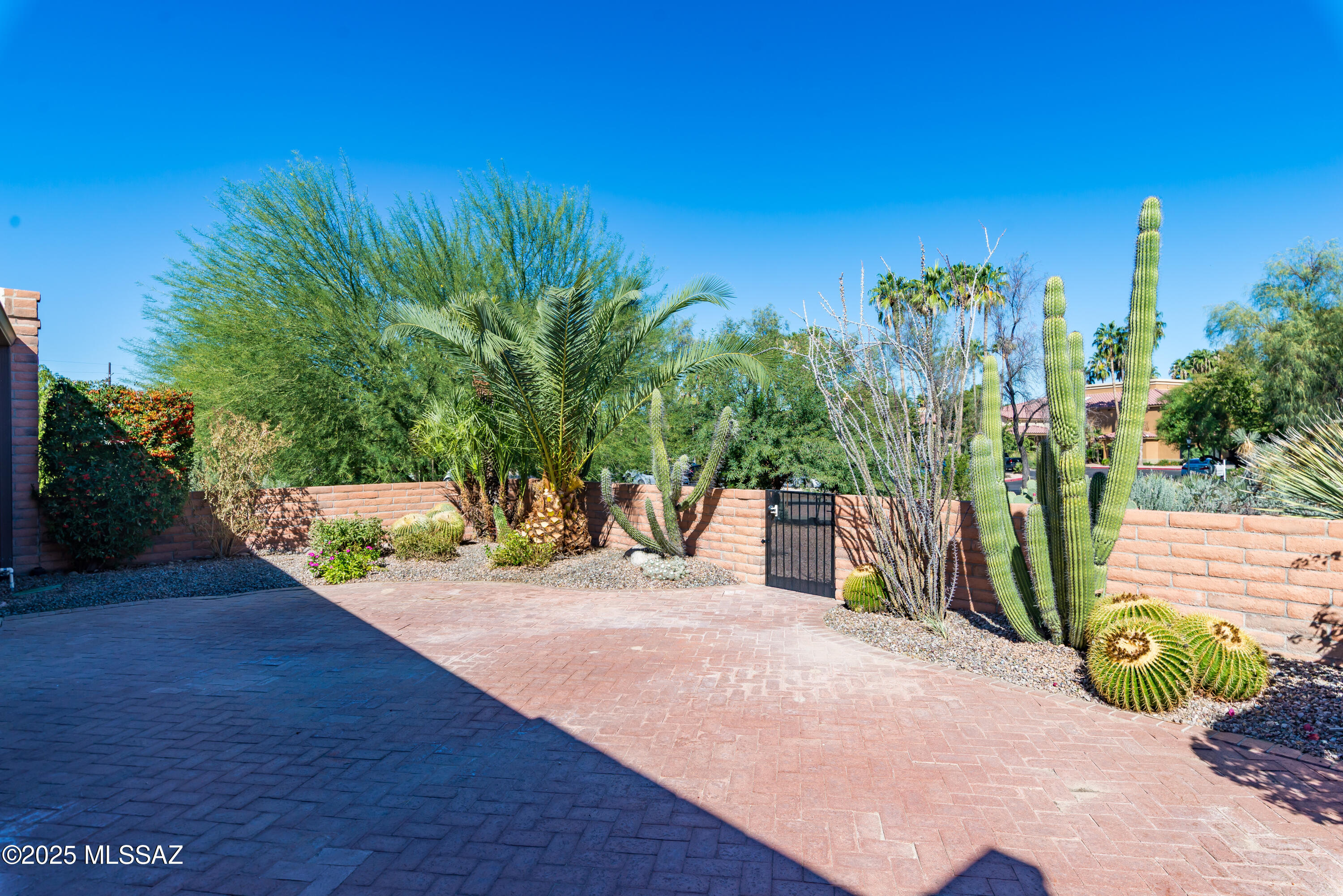 La Cholla Hills(314-353) - Residential