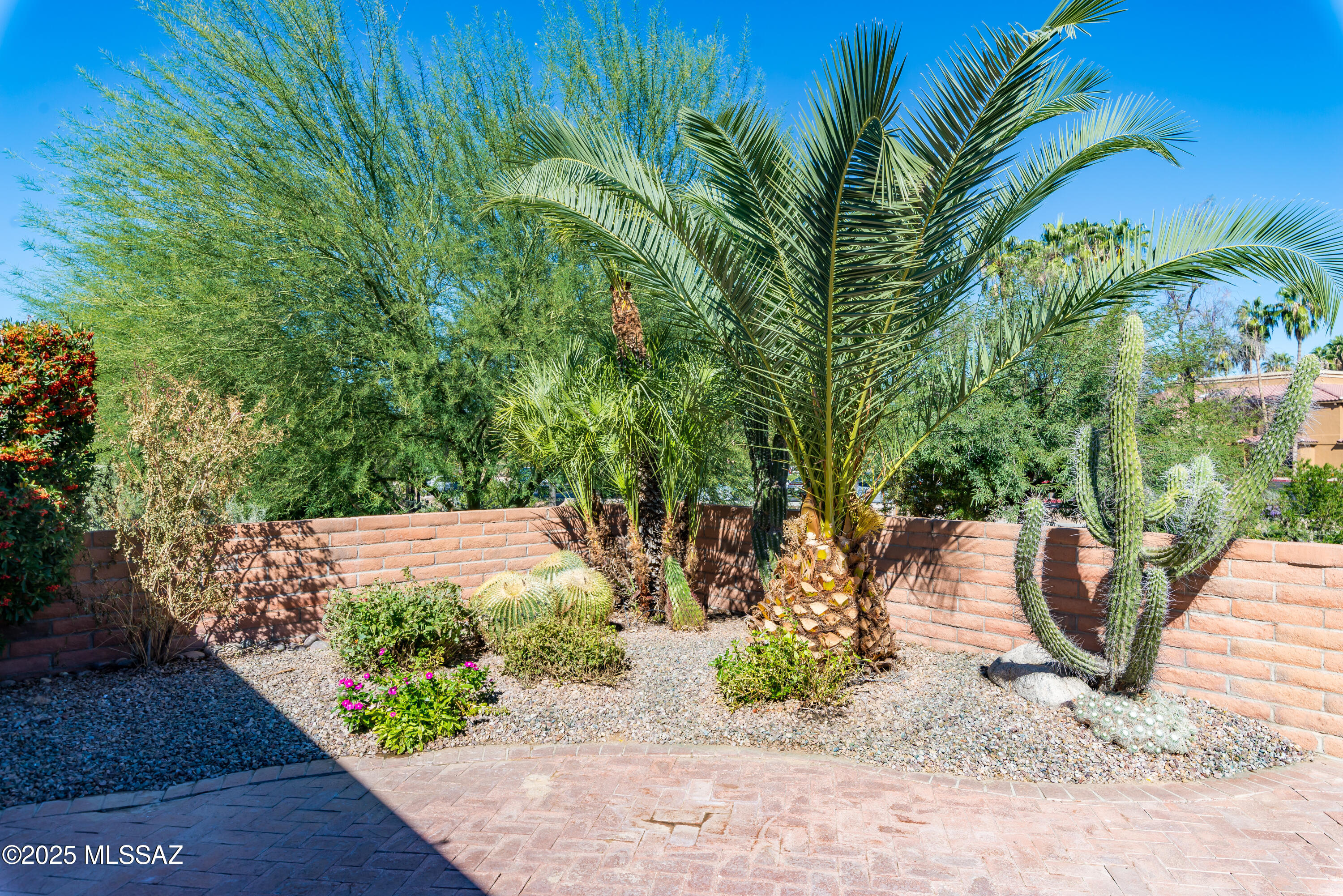 La Cholla Hills(314-353) - Residential