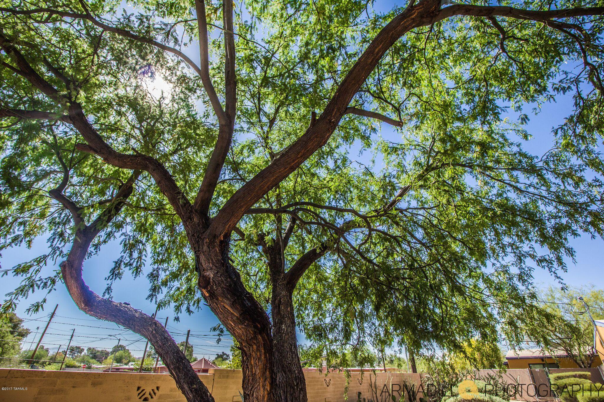 Sunset Foothills Condos (1-201) - Residential