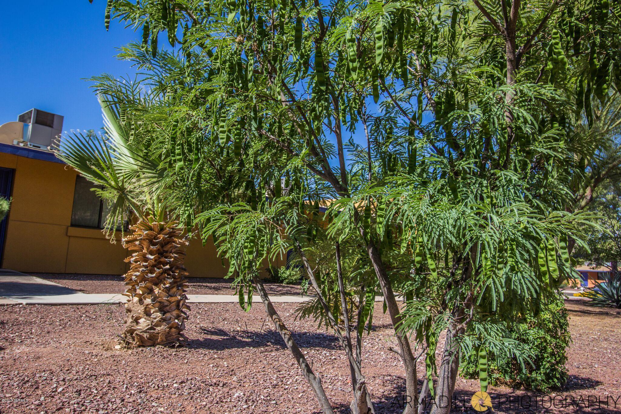 Sunset Foothills Condos (1-201) - Residential