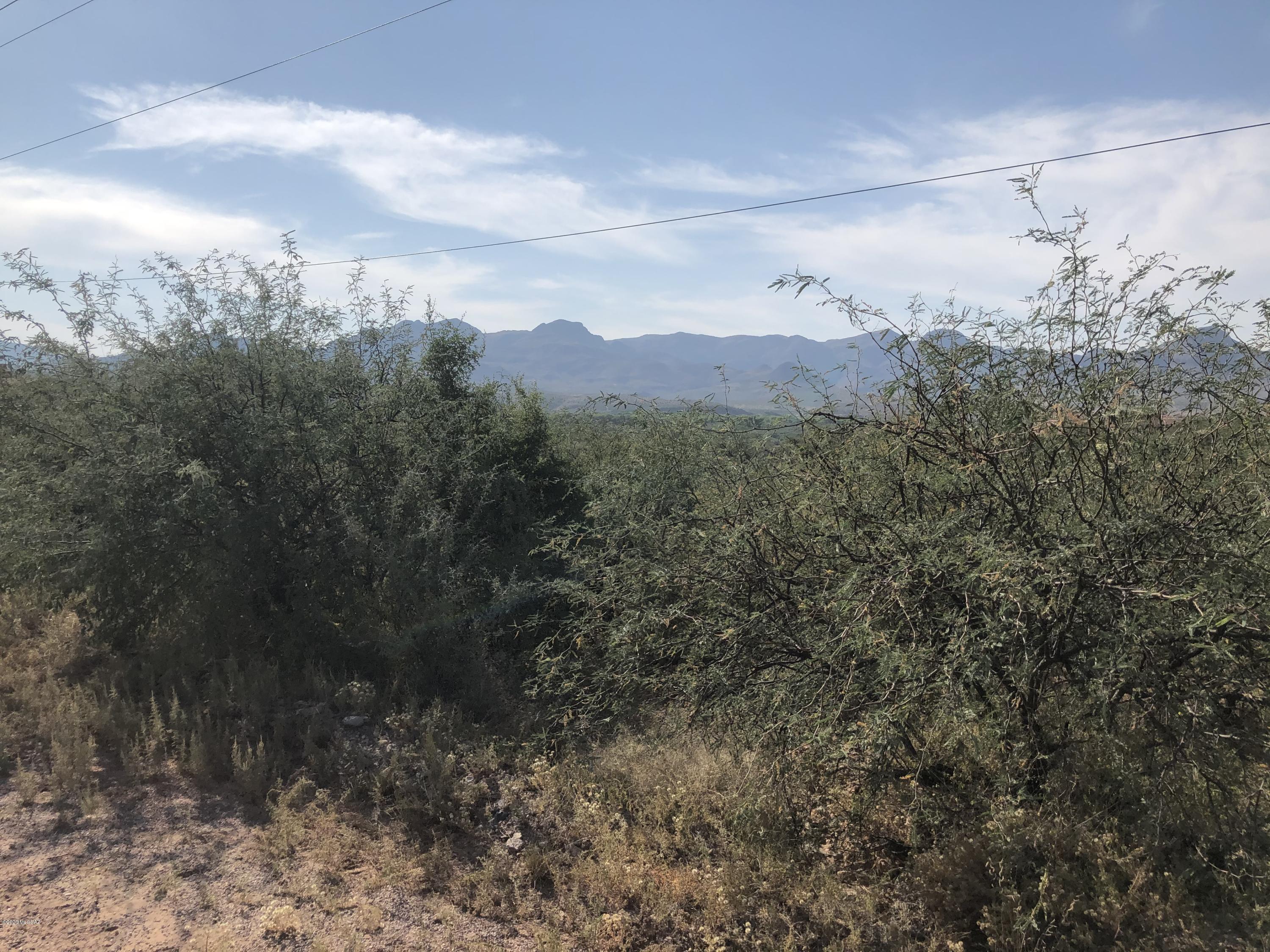 Rio Rico Ranchettes - Land