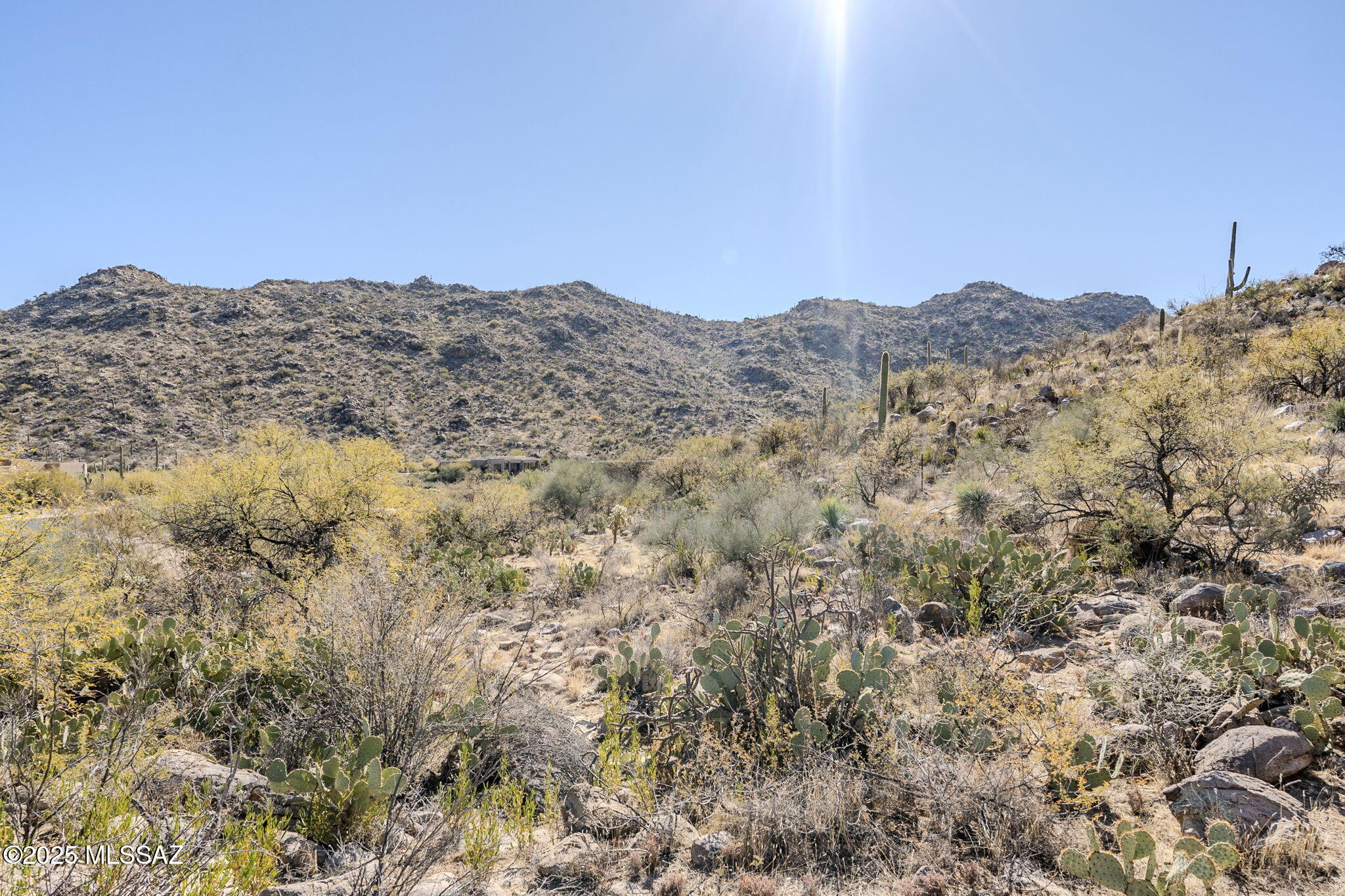 Canyon Pass III At Dove Mountain (111-181) - Land