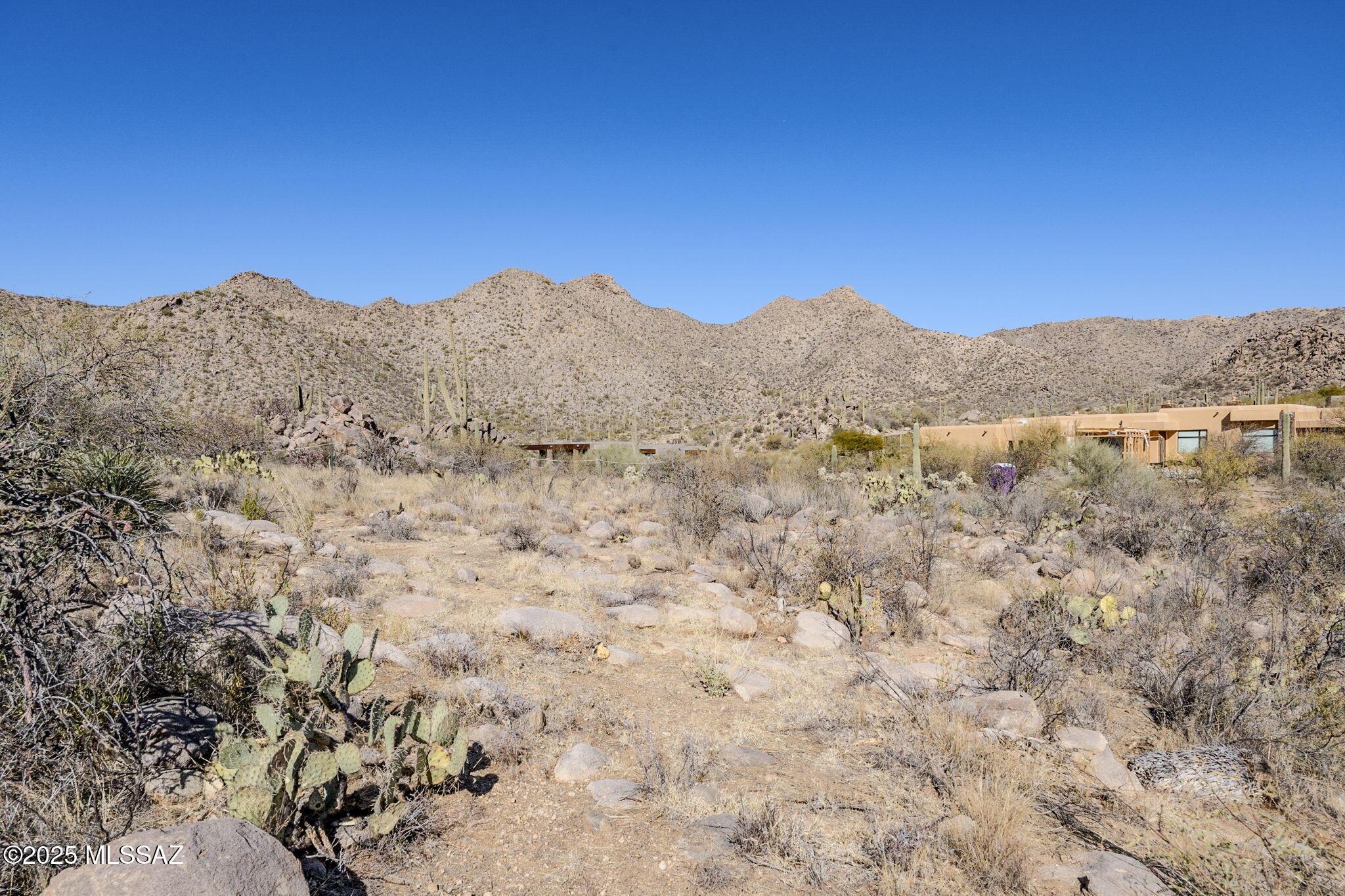 Canyon Pass III At Dove Mountain (111-181) - Land