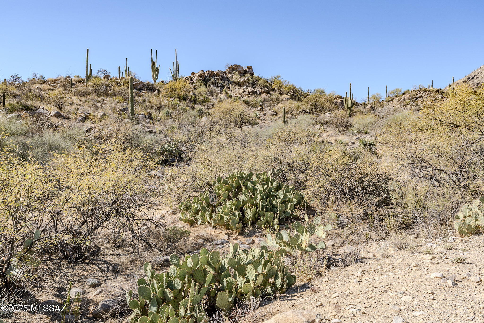 Canyon Pass III At Dove Mountain (111-181) - Land