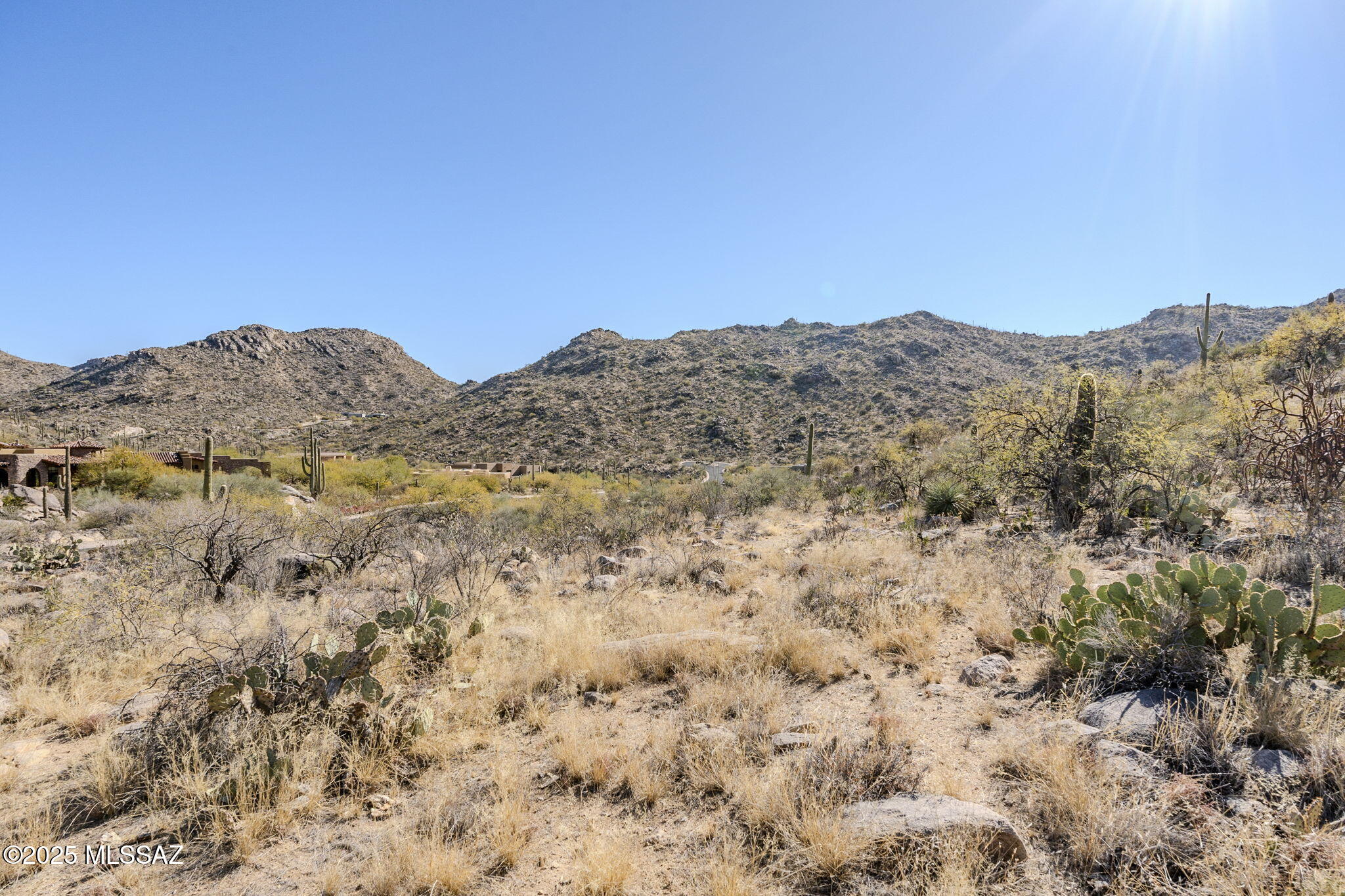 Canyon Pass III At Dove Mountain (111-181) - Land