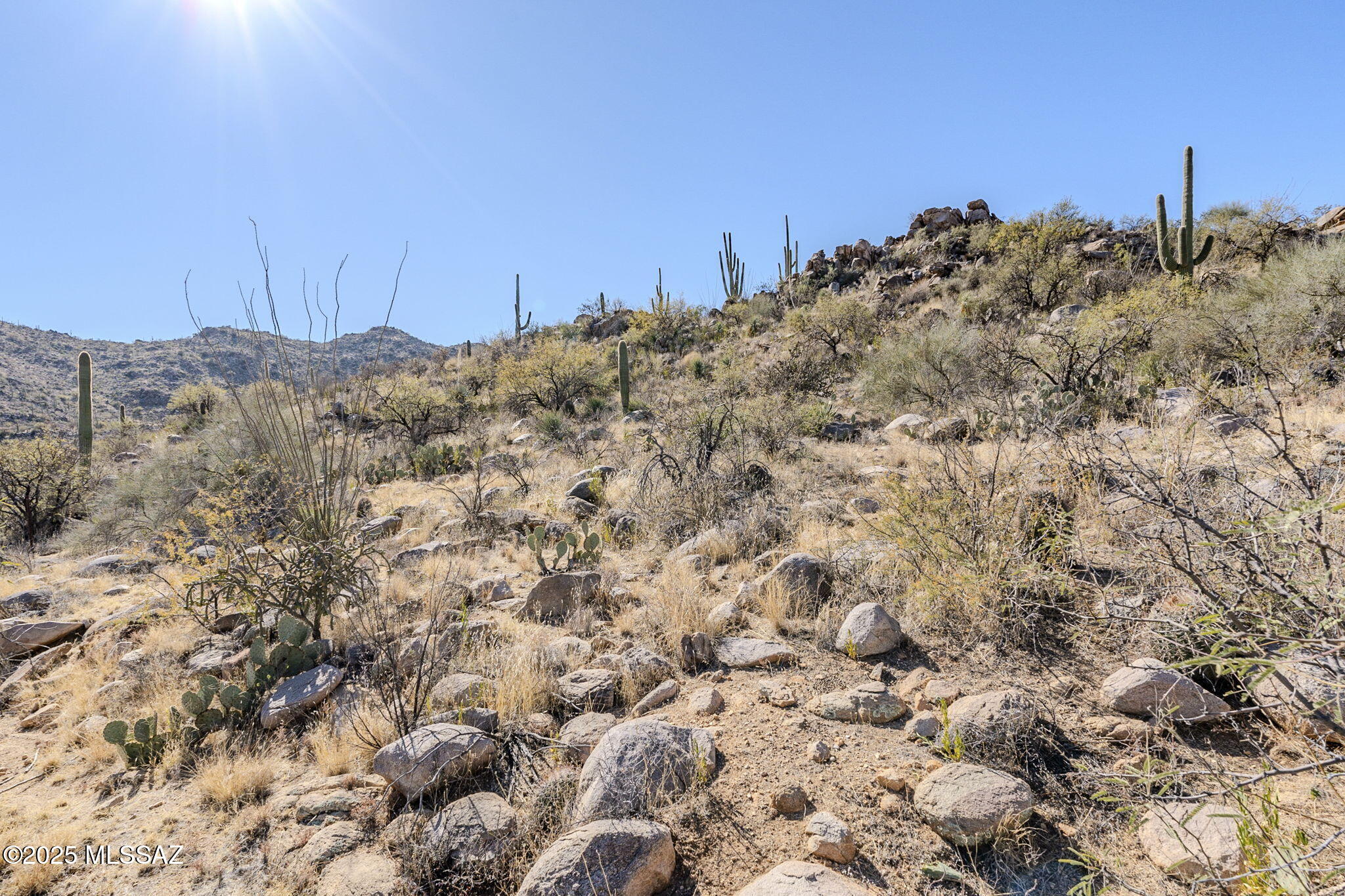 Canyon Pass III At Dove Mountain (111-181) - Land