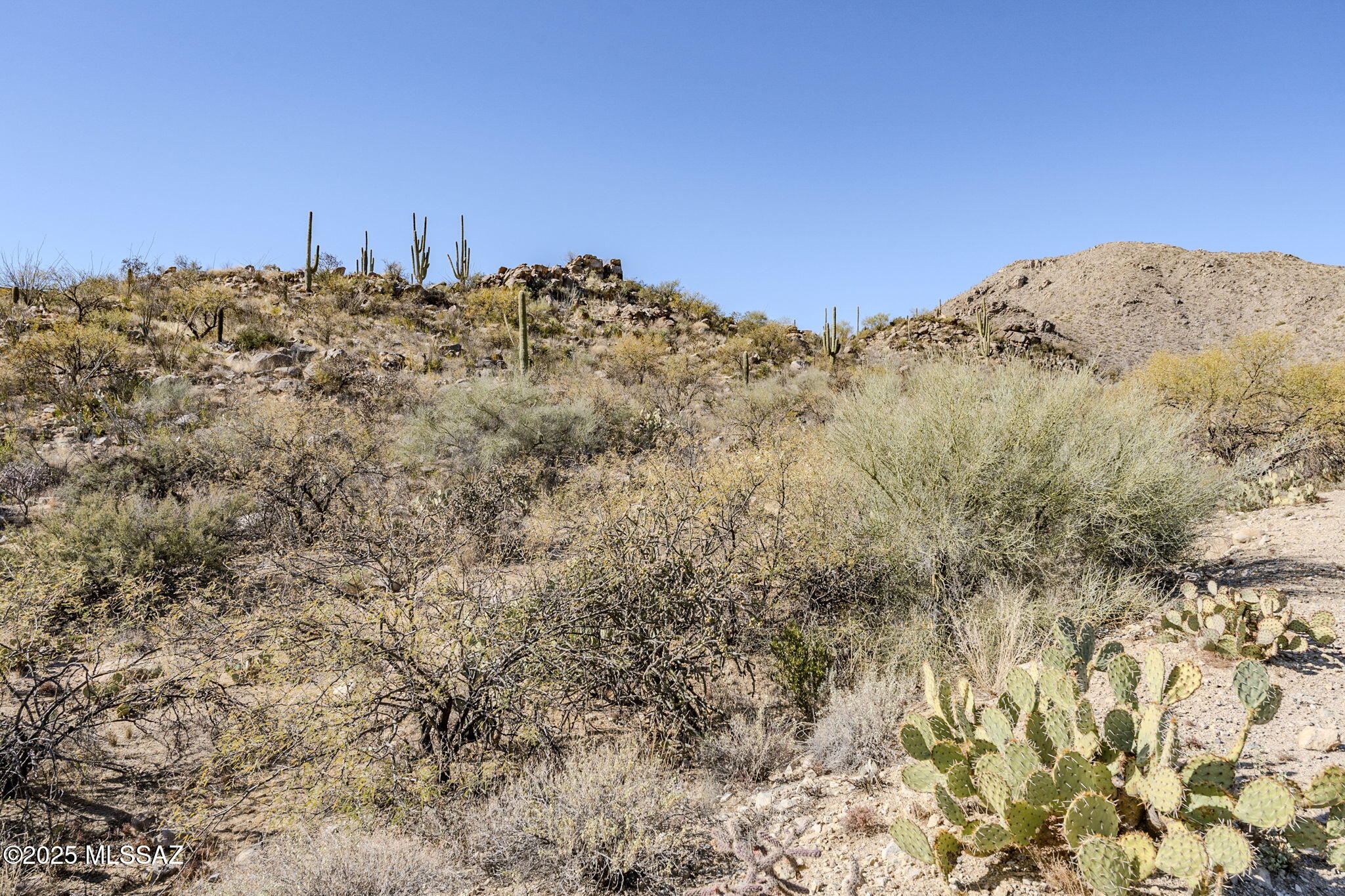 Canyon Pass III At Dove Mountain (111-181) - Land
