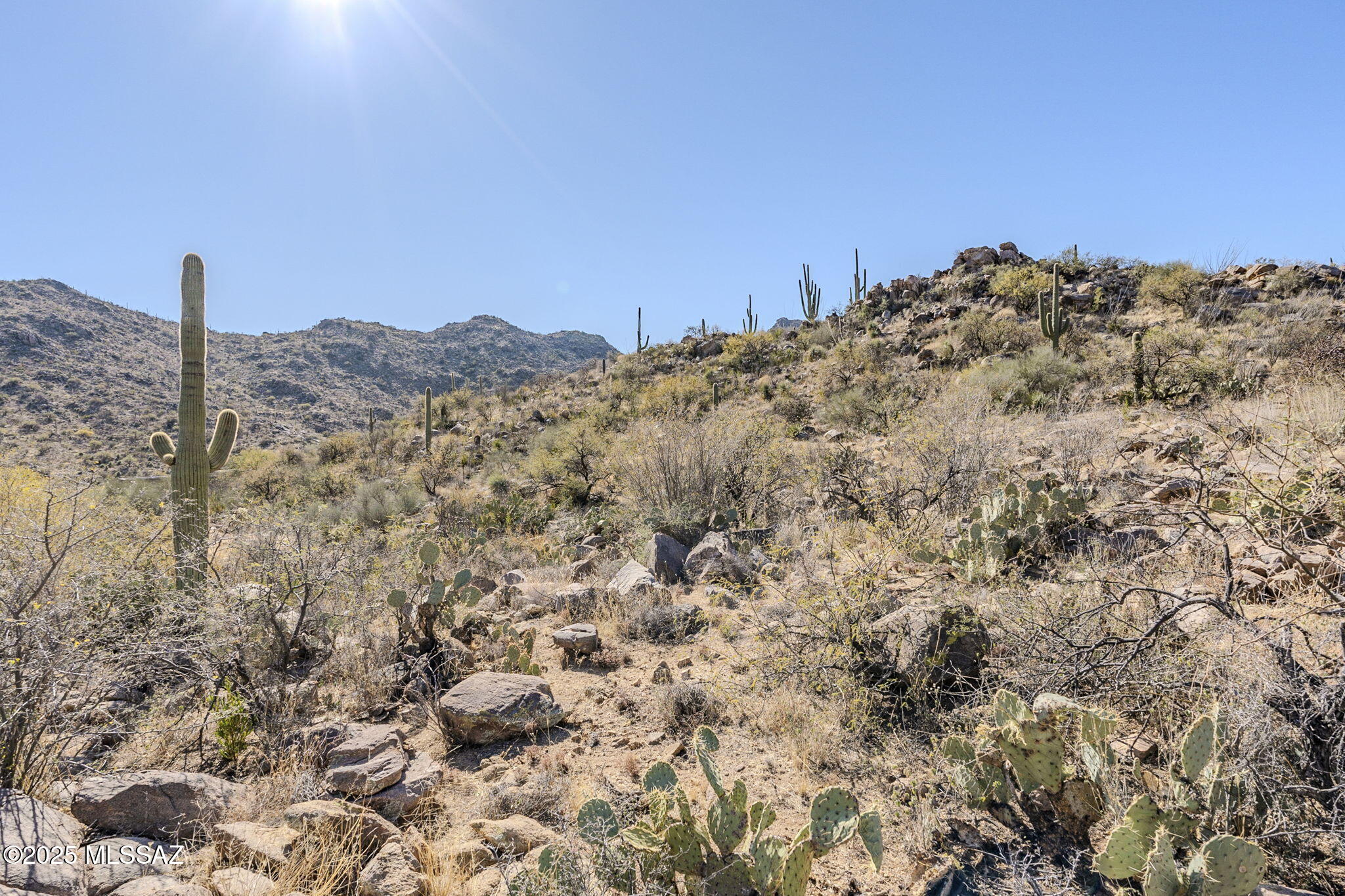Canyon Pass III At Dove Mountain (111-181) - Land
