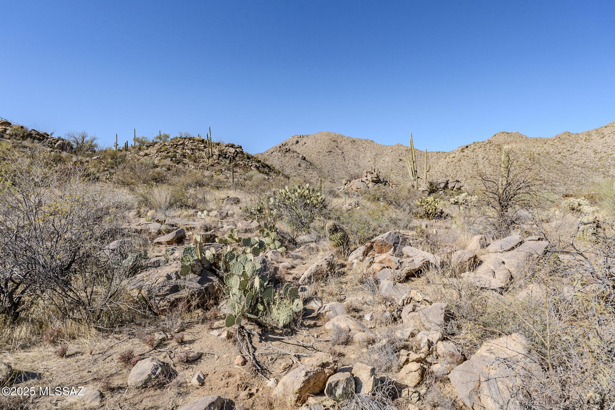 Canyon Pass III At Dove Mountain (111-181) - Land