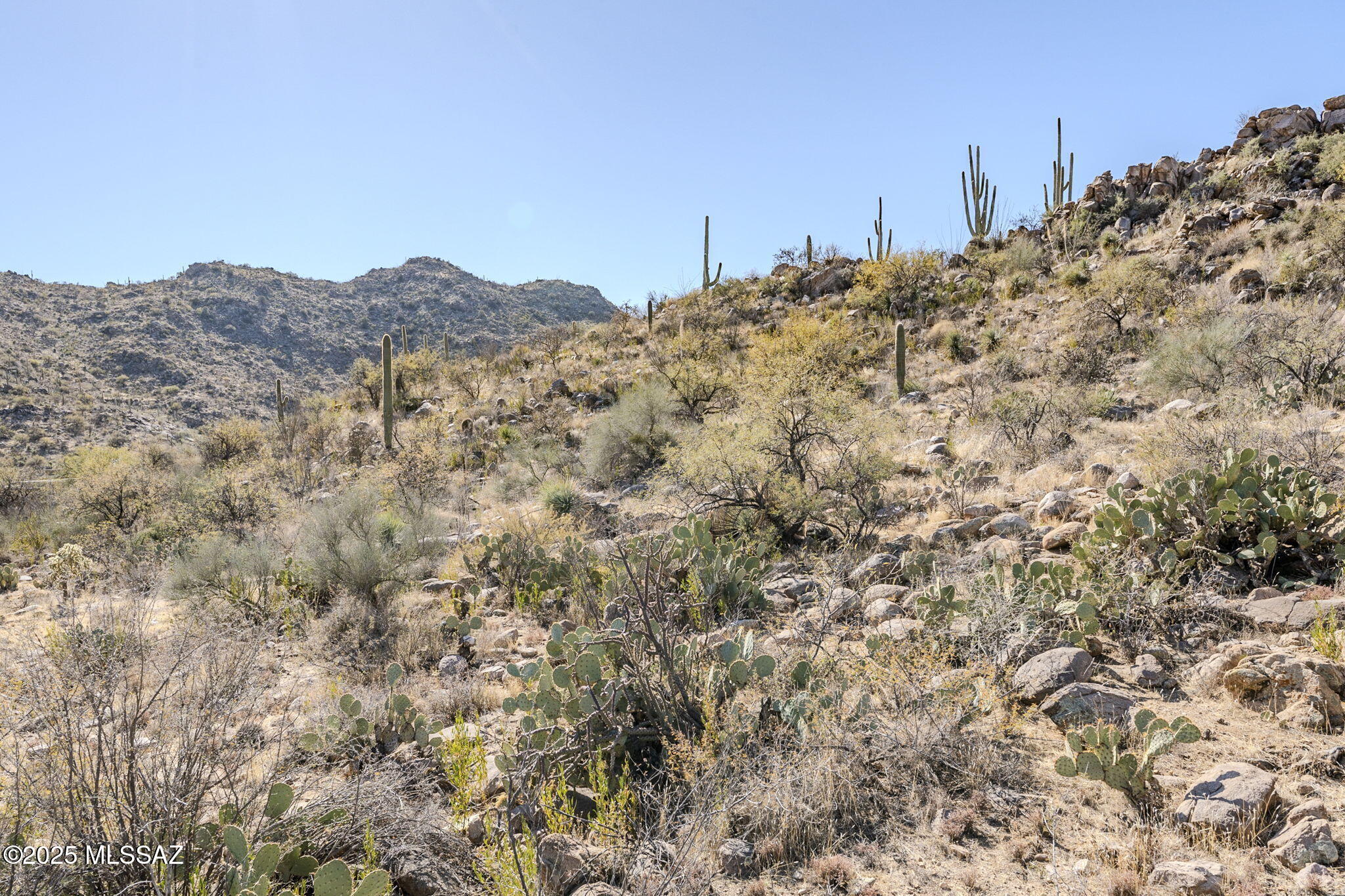 Canyon Pass III At Dove Mountain (111-181) - Land
