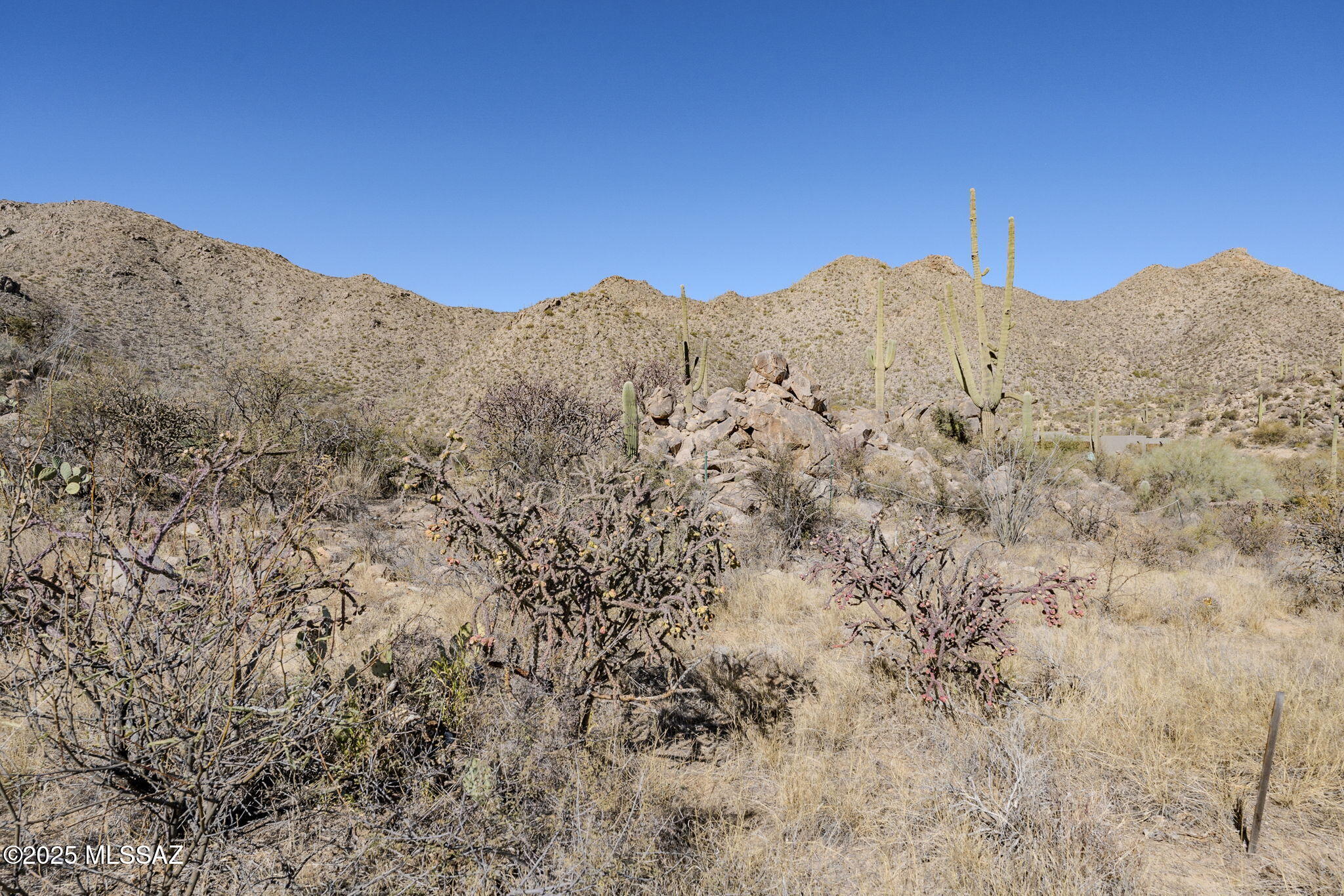 Canyon Pass III At Dove Mountain (111-181) - Land