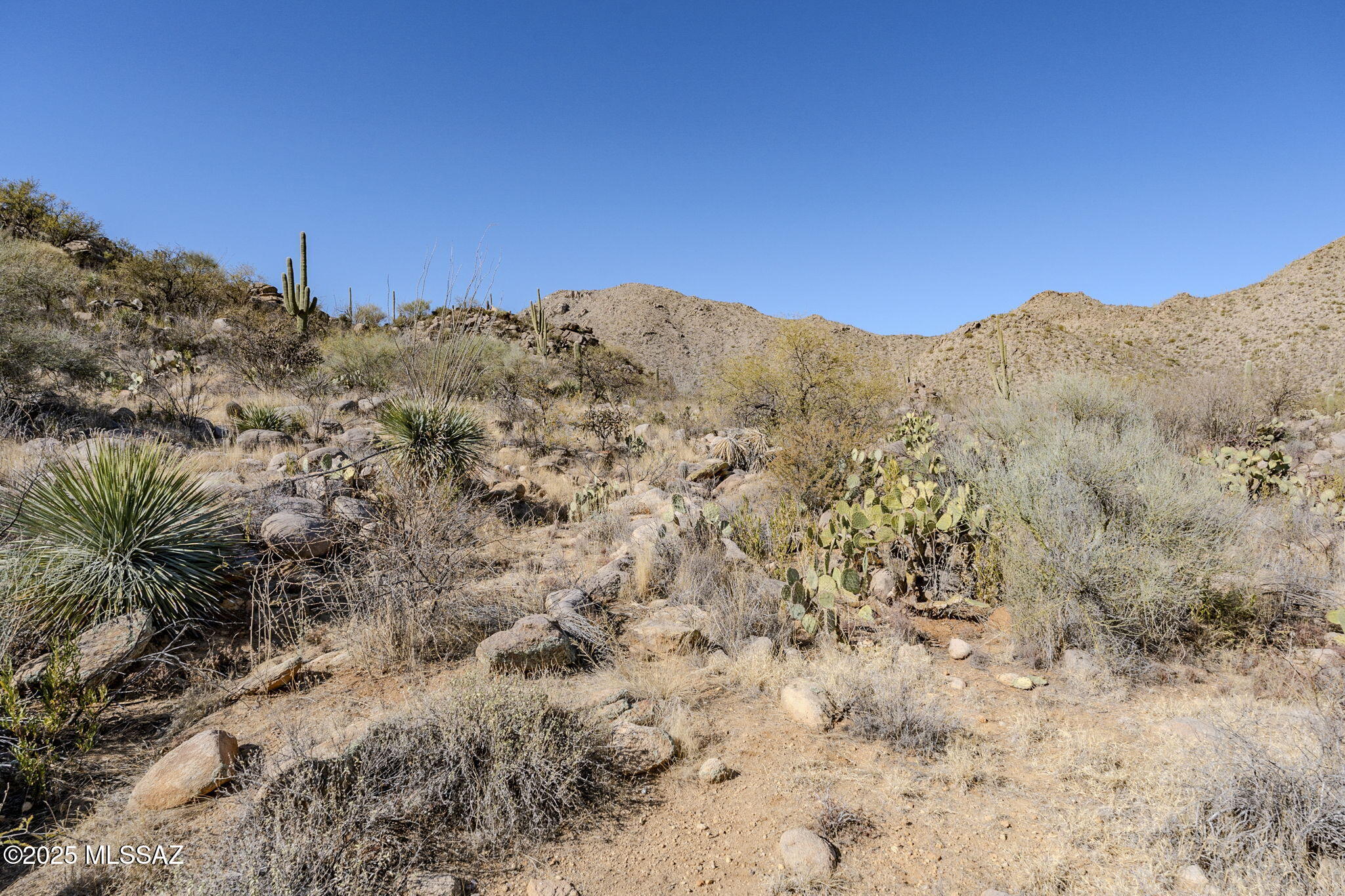 Canyon Pass III At Dove Mountain (111-181) - Land
