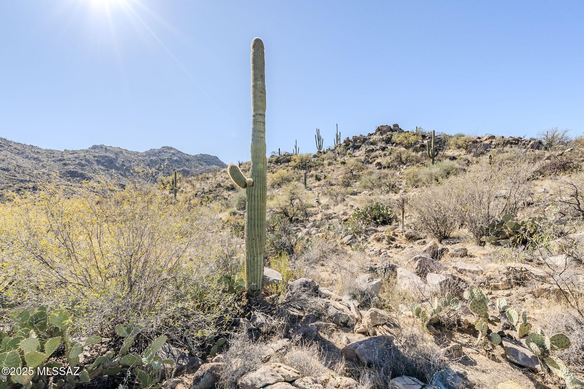 Canyon Pass III At Dove Mountain (111-181) - Land