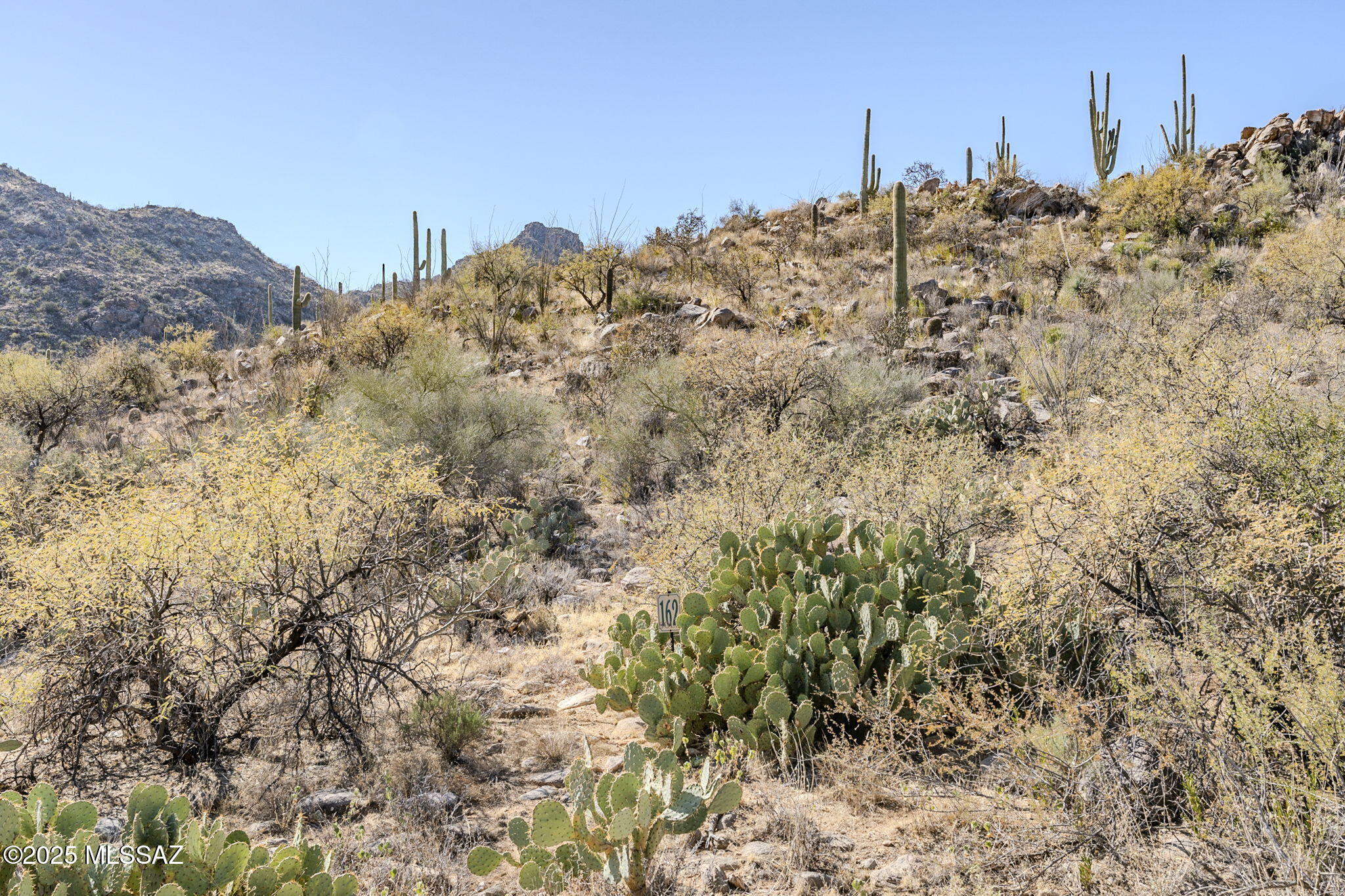 Canyon Pass III At Dove Mountain (111-181) - Land