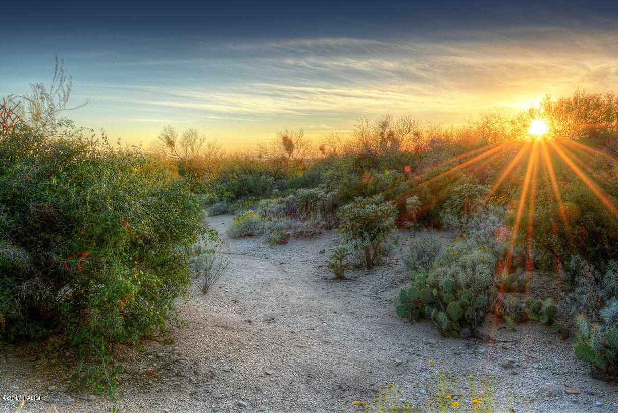 Ventana Canyon Estates (1-63) - Land