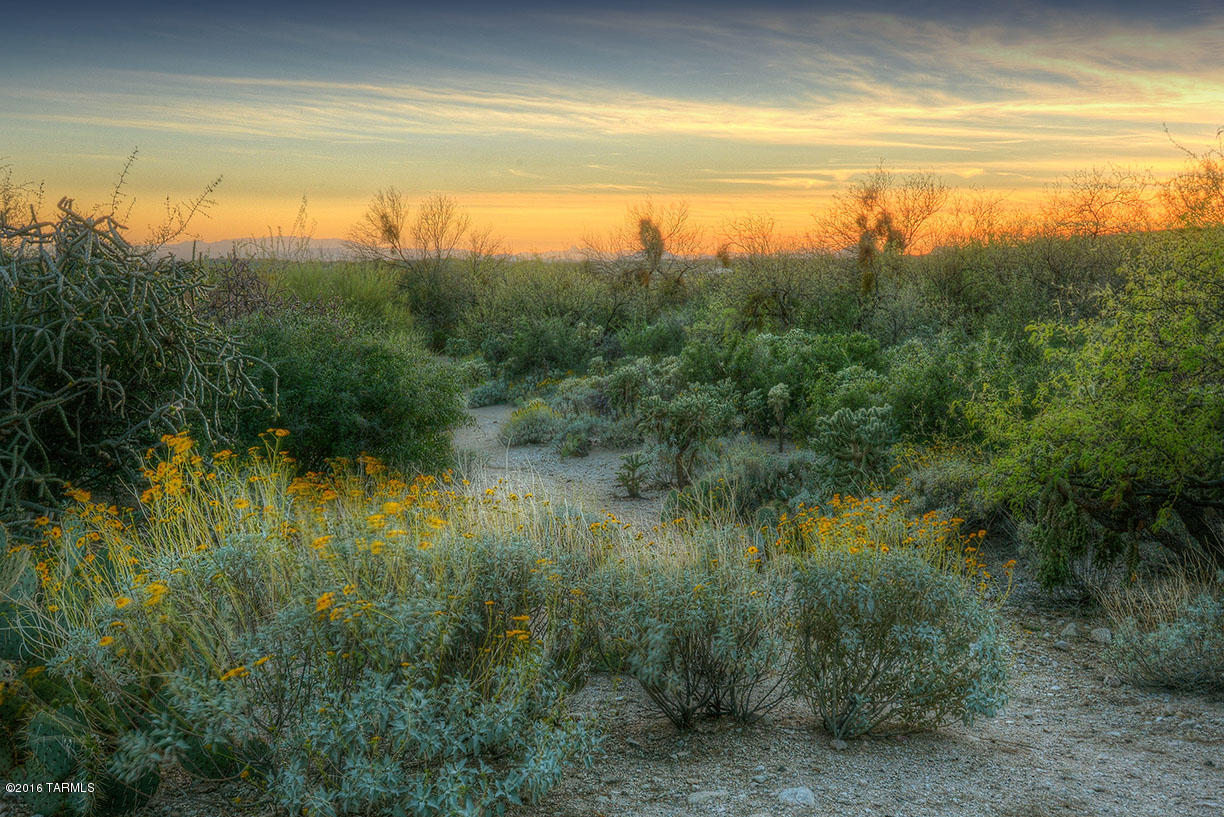 Ventana Canyon Estates (1-63) - Land