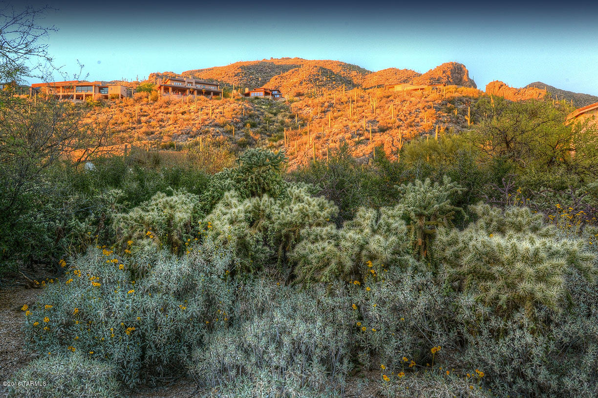 Ventana Canyon Estates (1-63) - Land