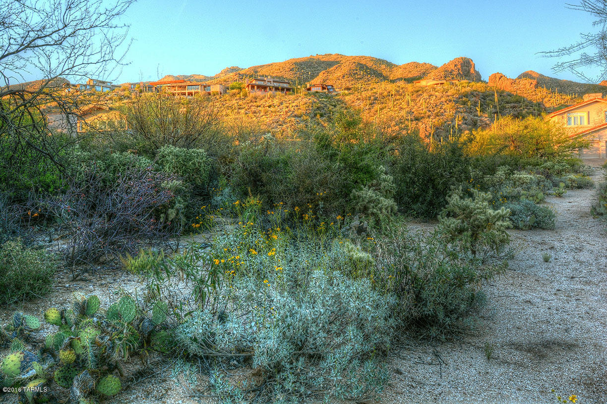 Ventana Canyon Estates (1-63) - Land