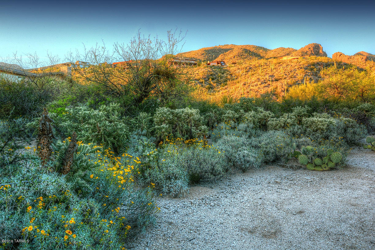 Ventana Canyon Estates (1-63) - Land