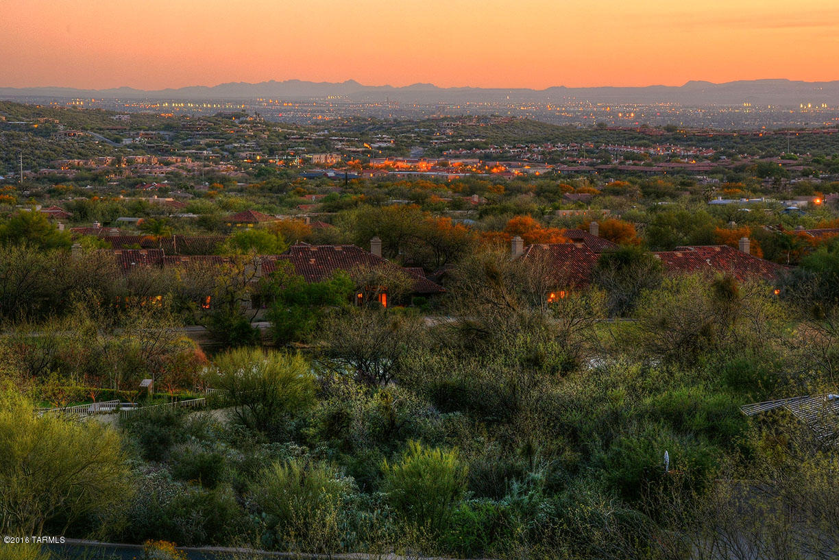 Ventana Canyon Estates (1-63) - Land