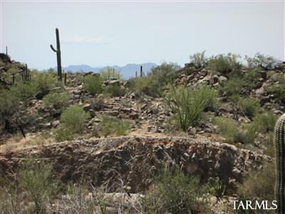 Saguaro Ranch (9-52) Blks. 1-4 - Land
