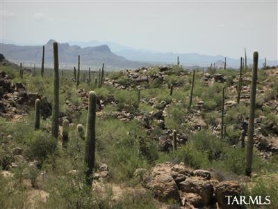 BANK OWNED.  MOST AFFORDABLE LOT IN THIS PRESTIGIOUS, GATED COMMUNITY AT THE BASE OF THE TORTOLITA MOUNTAINS. 
NEW DEVLOPMENT ON THE HORIZON. BUY BEFORE PRICE INCREASES. LARGE, VERY PRIVATE LOT WITH HOMESITE HIGH ABOVE THE STREET. STRONG WESTERN VIEWS OF SOMBRERO PEAK AND TUCSON MOUNTAINS. CALL FOR SURVEY & TOPO