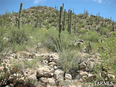 Saguaro Ranch (9-52) Blks. 1-4 - Land