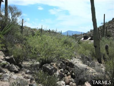 Saguaro Ranch (9-52) Blks. 1-4 - Land