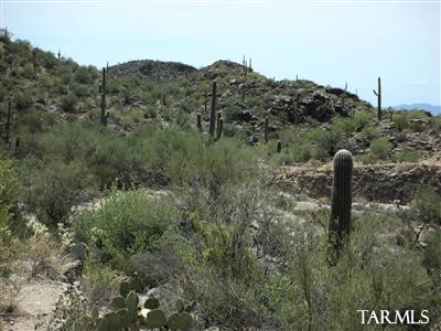 Saguaro Ranch (9-52) Blks. 1-4 - Land