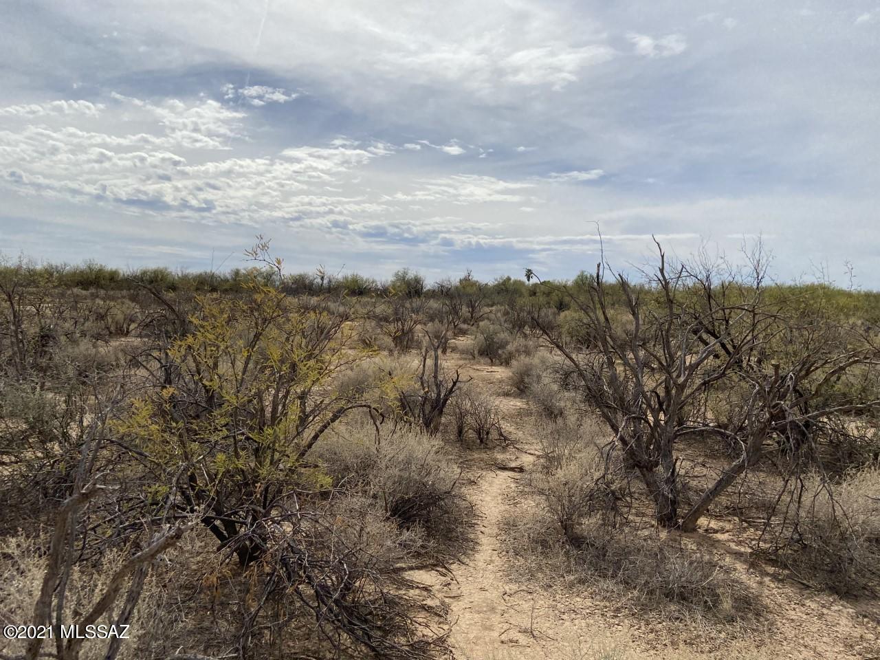 7.5 acres, vacant and undeveloped land