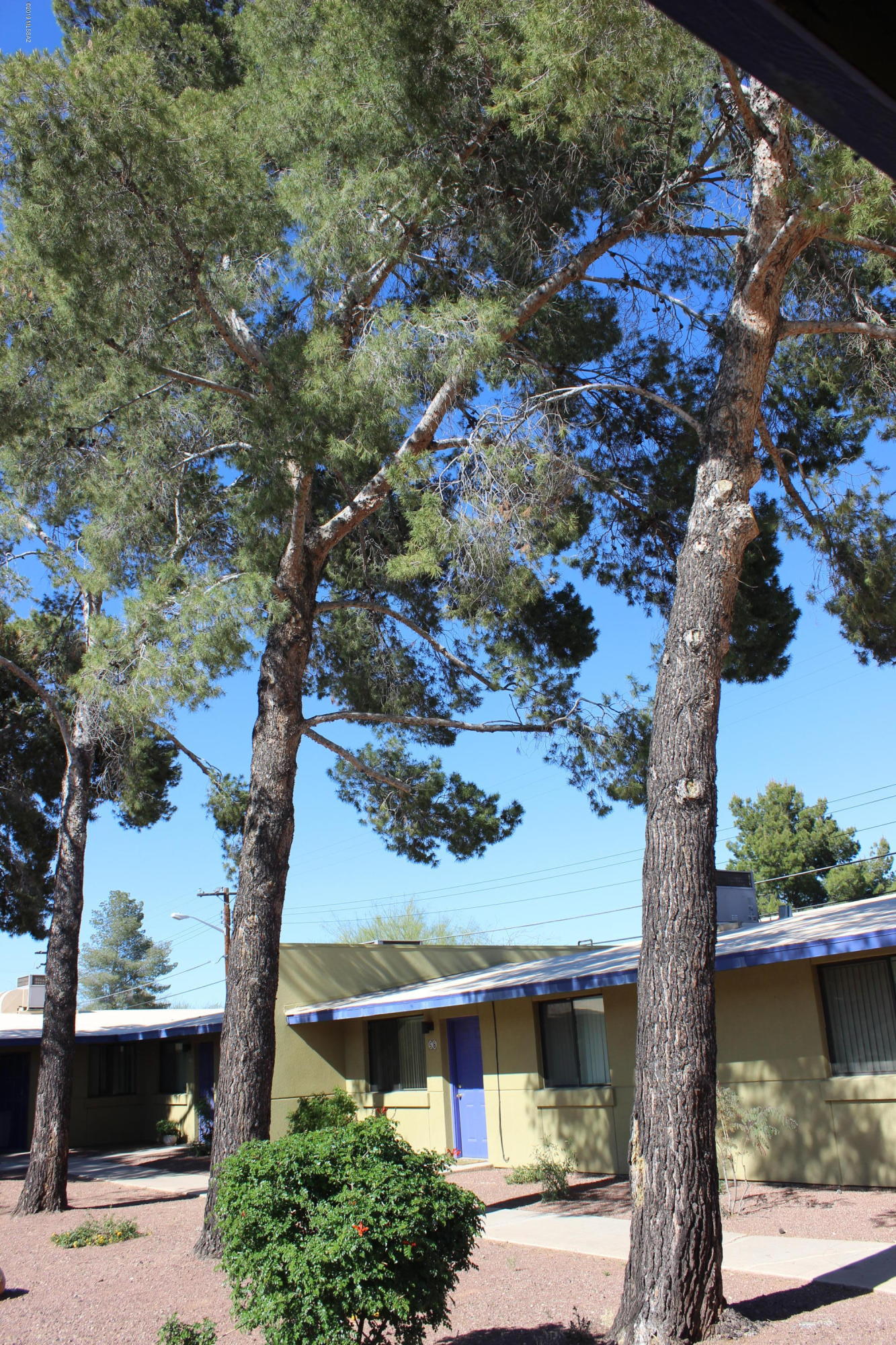 Sunset Foothills Condos (1-201) - Residential