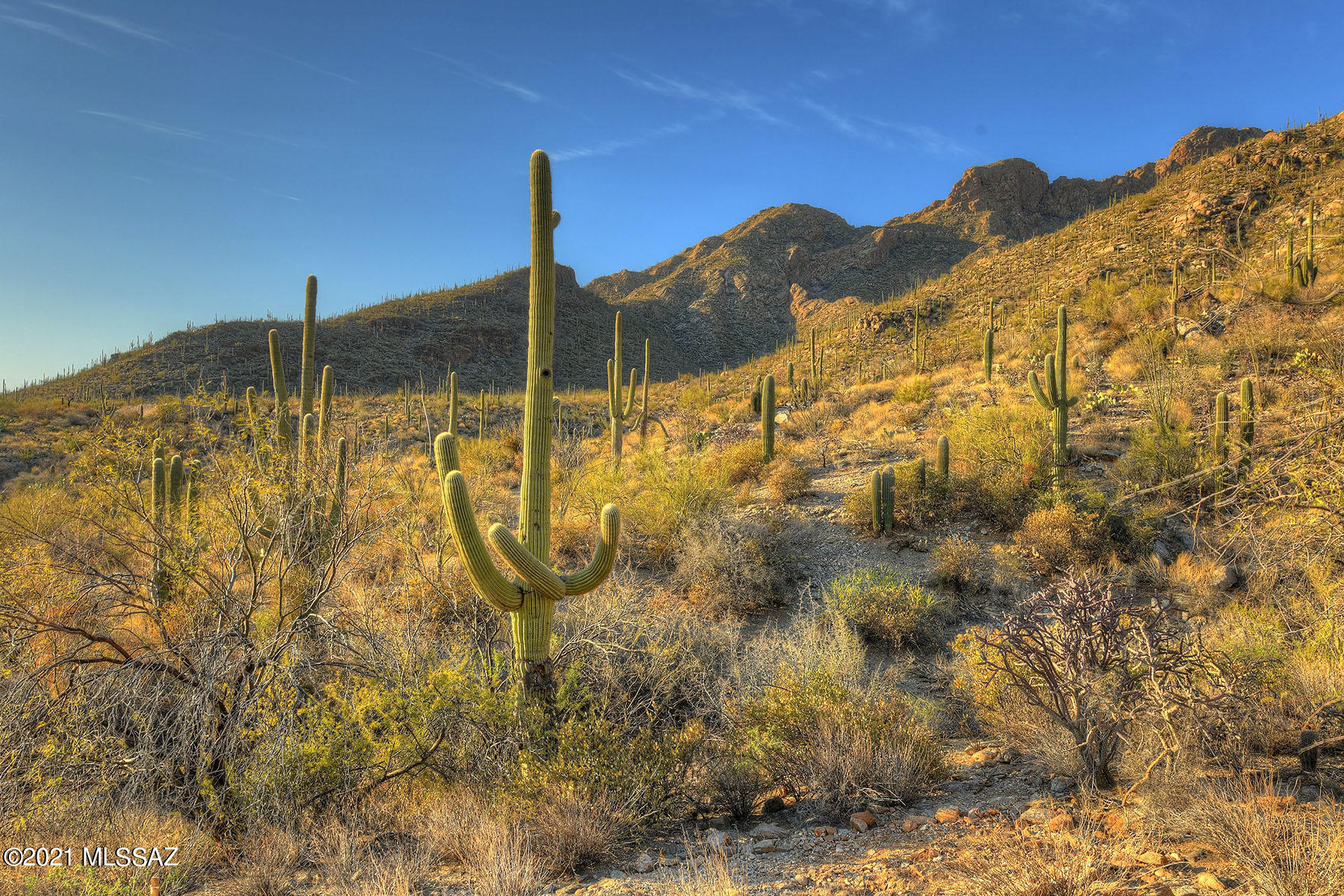 Pima Canyon Estates (30,33,96-102,115,124-127,136-139,147-151,16) - Land