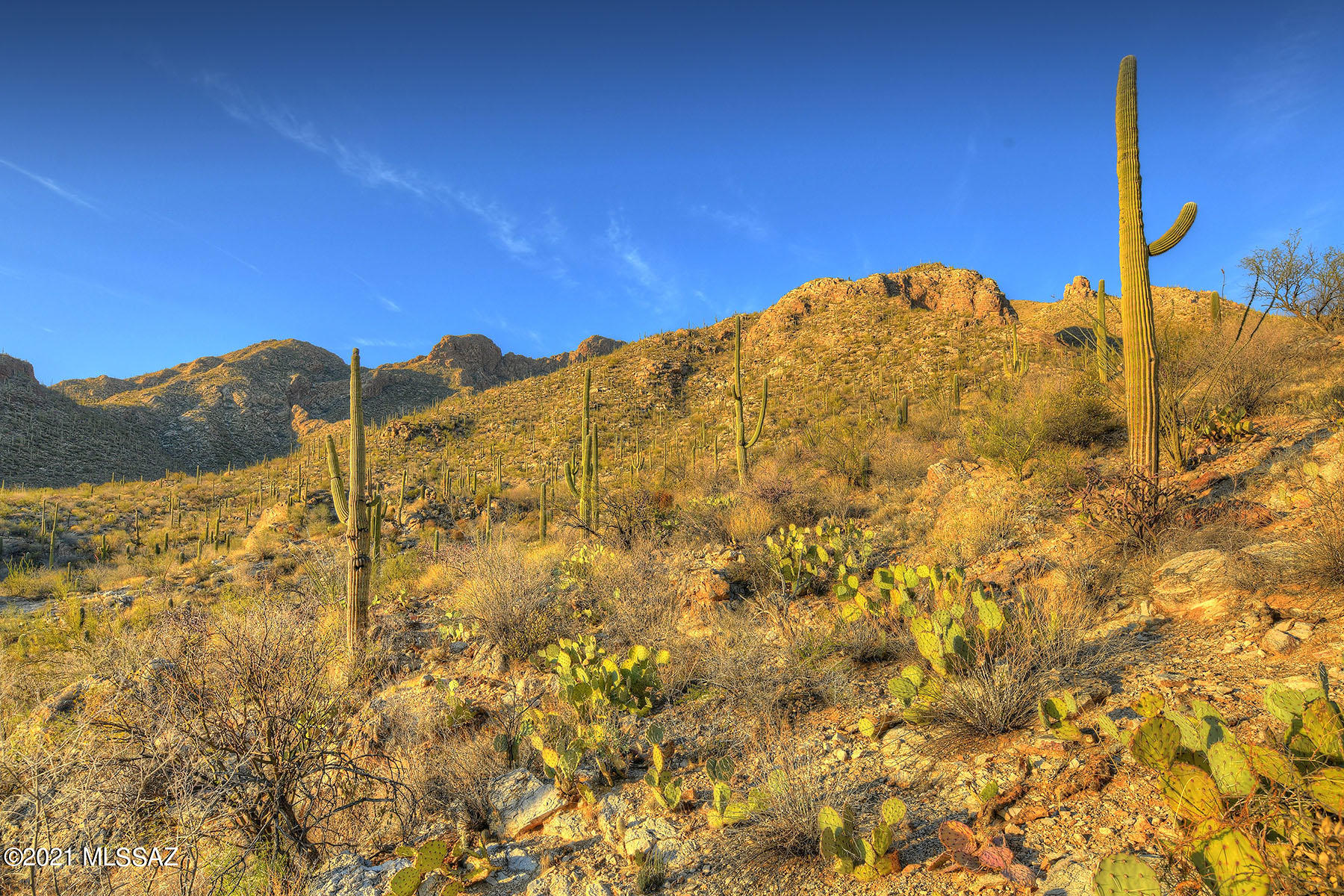 Pima Canyon Estates (30,33,96-102,115,124-127,136-139,147-151,16) - Land
