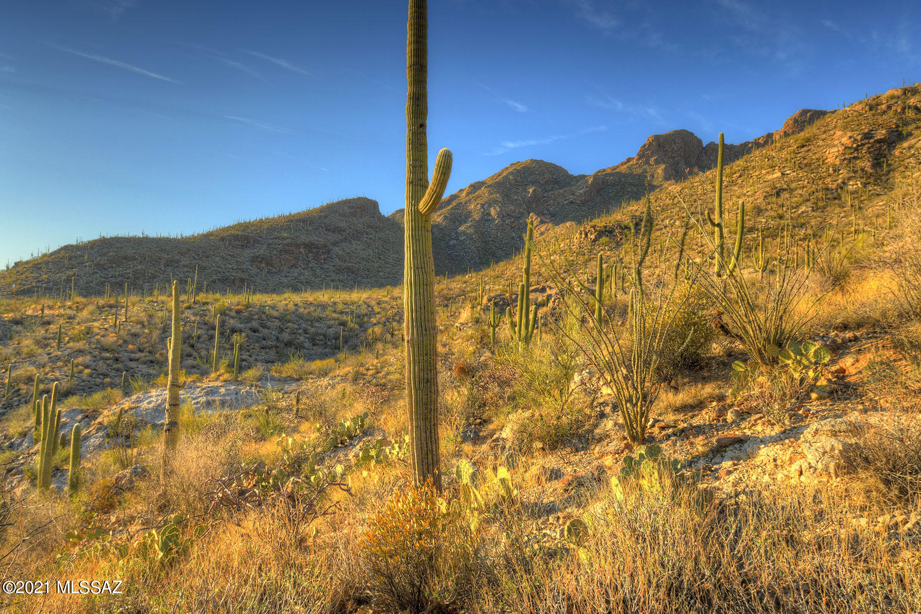 Pima Canyon Estates (30,33,96-102,115,124-127,136-139,147-151,16) - Land