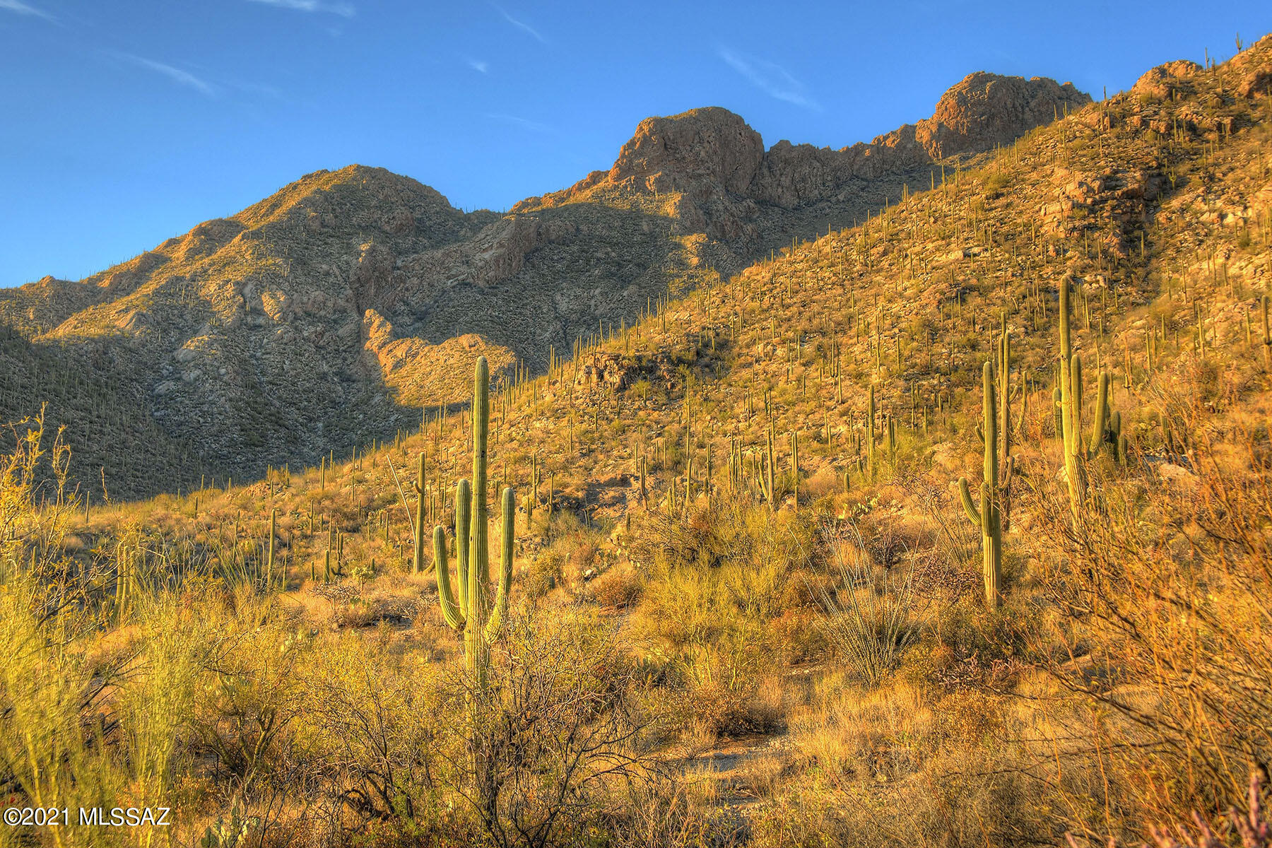 Pima Canyon Estates (30,33,96-102,115,124-127,136-139,147-151,16) - Land