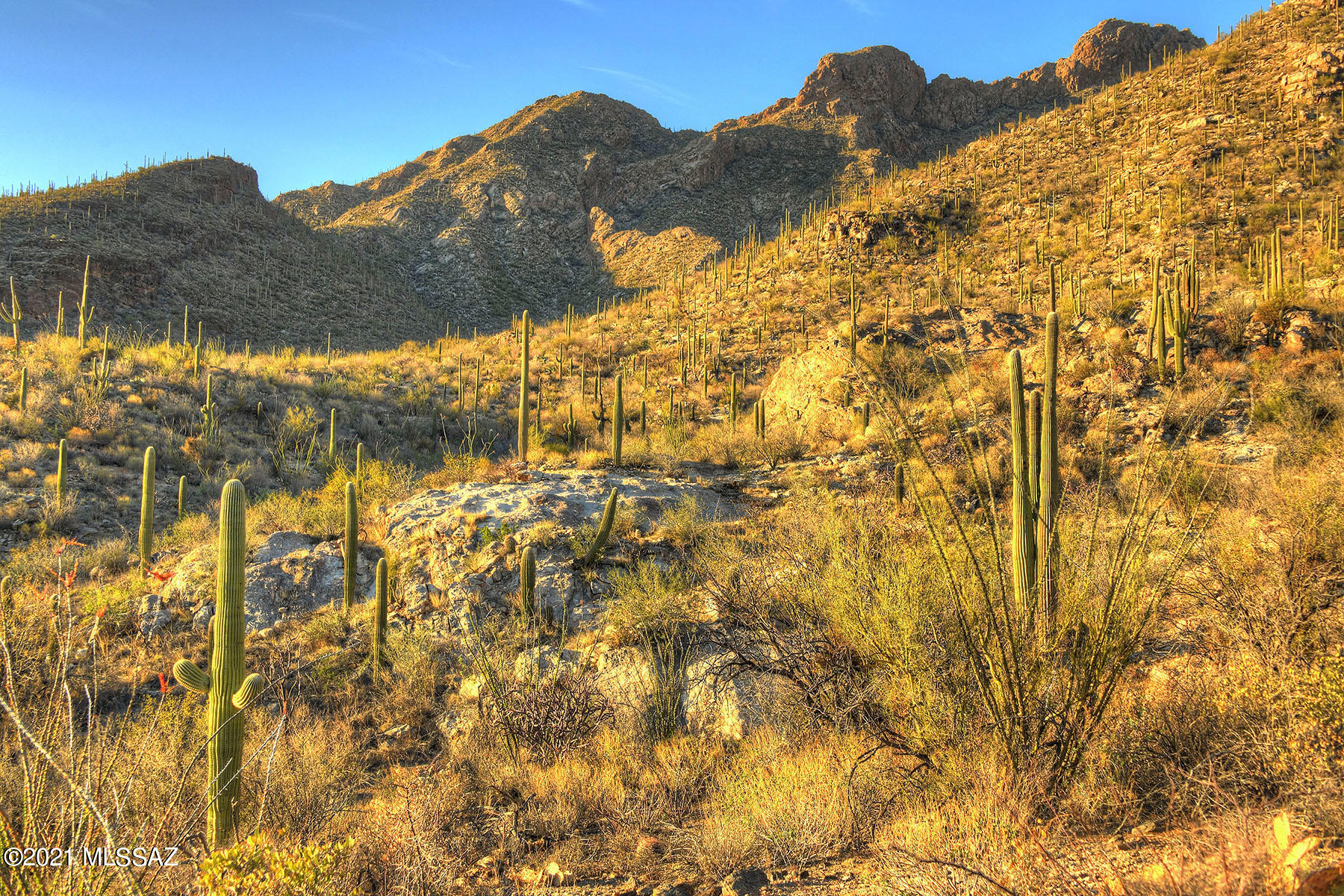 Pima Canyon Estates (30,33,96-102,115,124-127,136-139,147-151,16) - Land